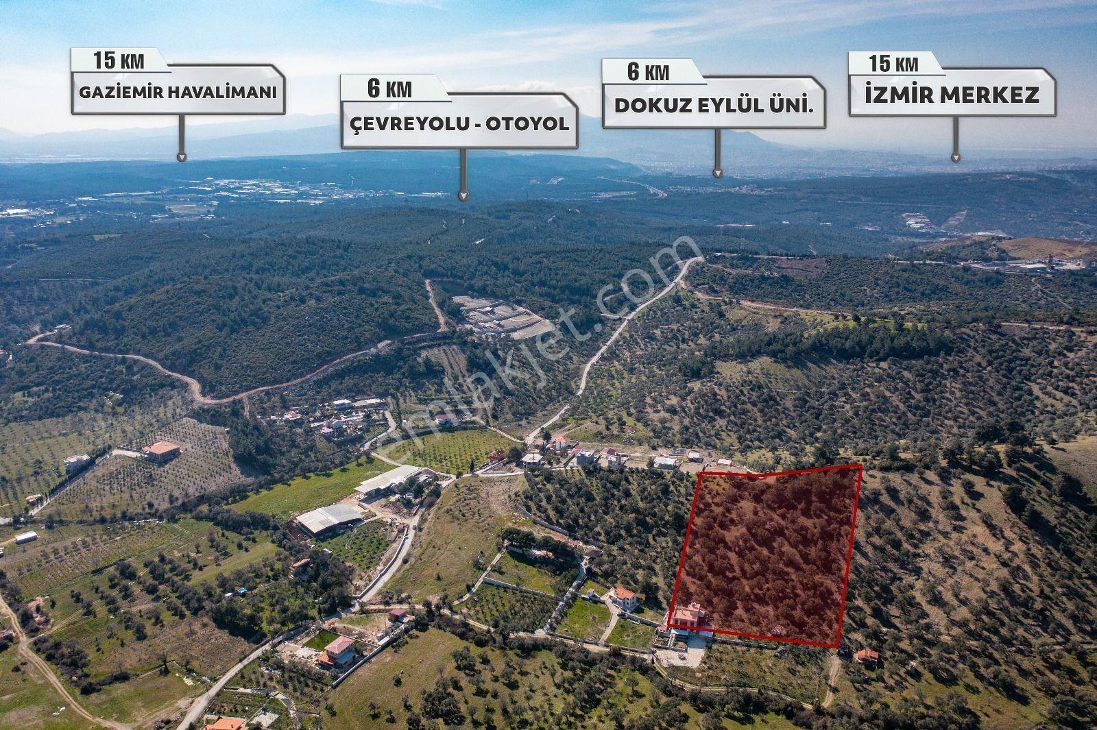 İzmir Buca 29 Ekim Mah. Kaynaklar Merkeze Yakın 9.073 M² Satılık Zeytinli Tarla - Görsel 2