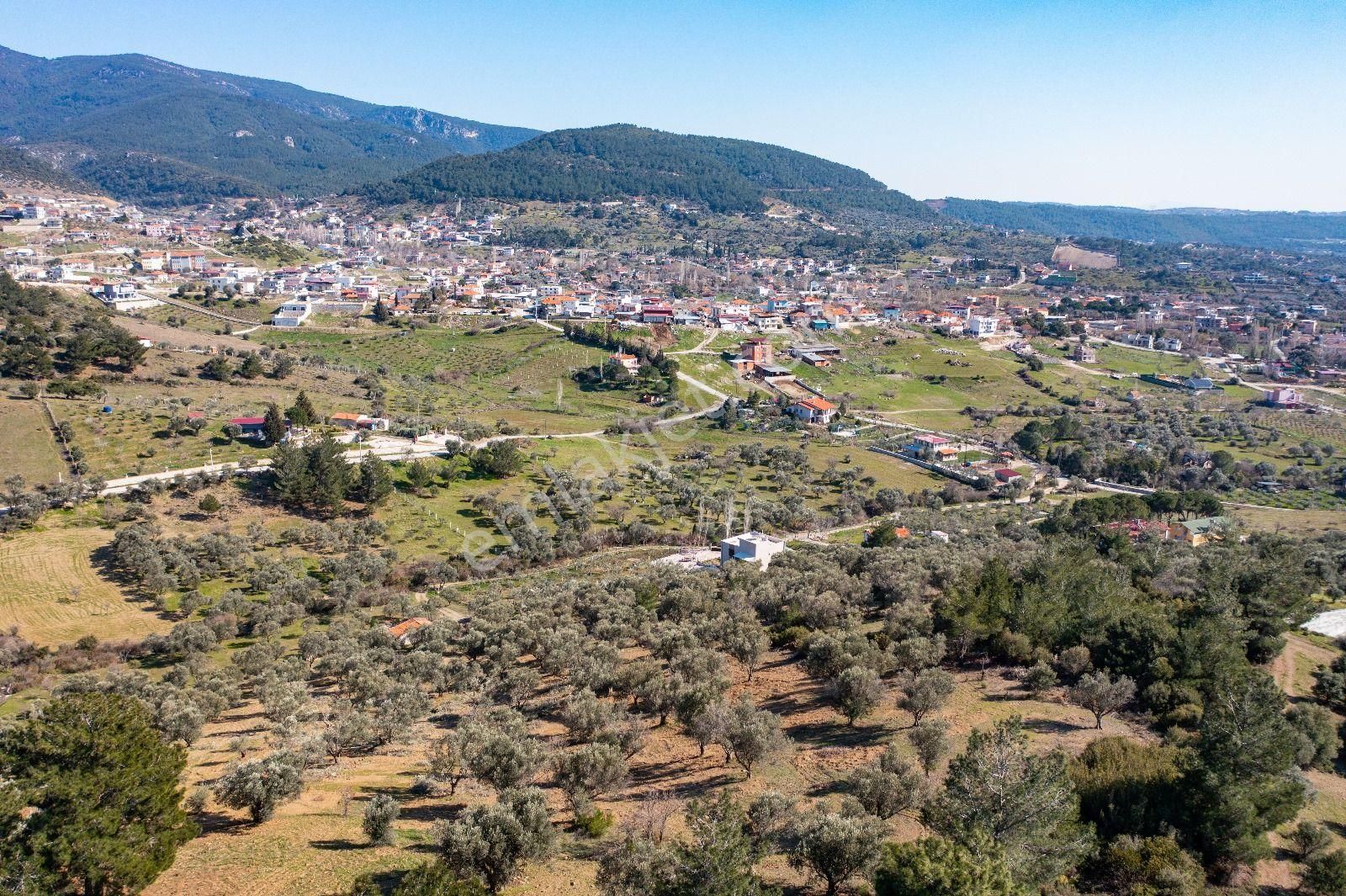 İzmir Buca 29 Ekim Mah. Kaynaklar Merkeze Yakın 9.073 M² Satılık Zeytinli Tarla - Görsel 16