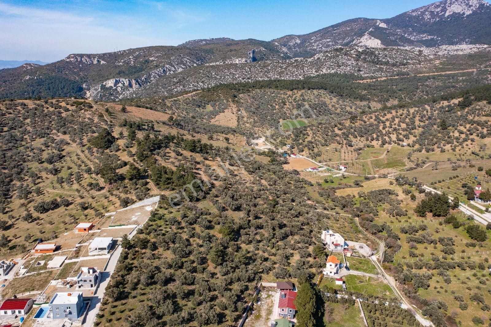 İzmir Buca 29 Ekim Mah. Kaynaklar Merkeze Yakın 9.073 M² Satılık Zeytinli Tarla - Görsel 8