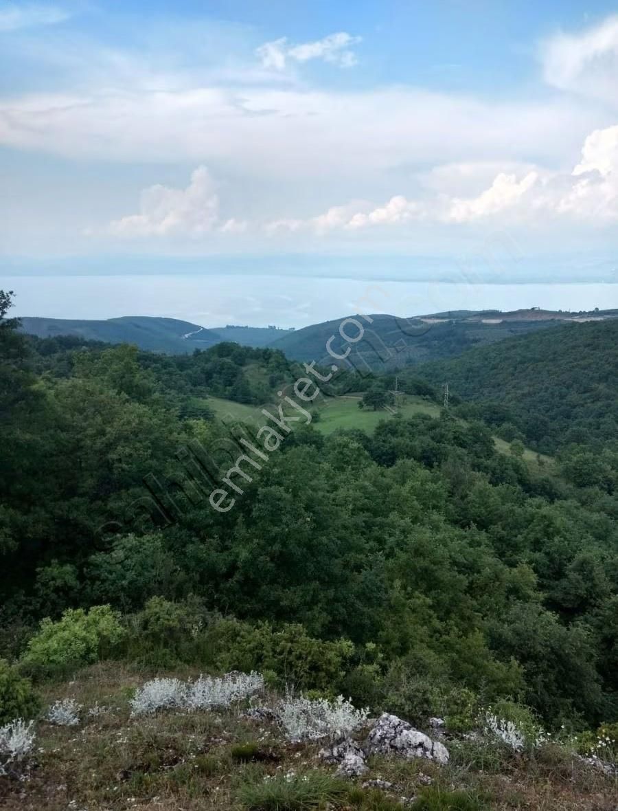 İznik Derbentte Göl Manzaralı Yola Cephe Satılık Tarla