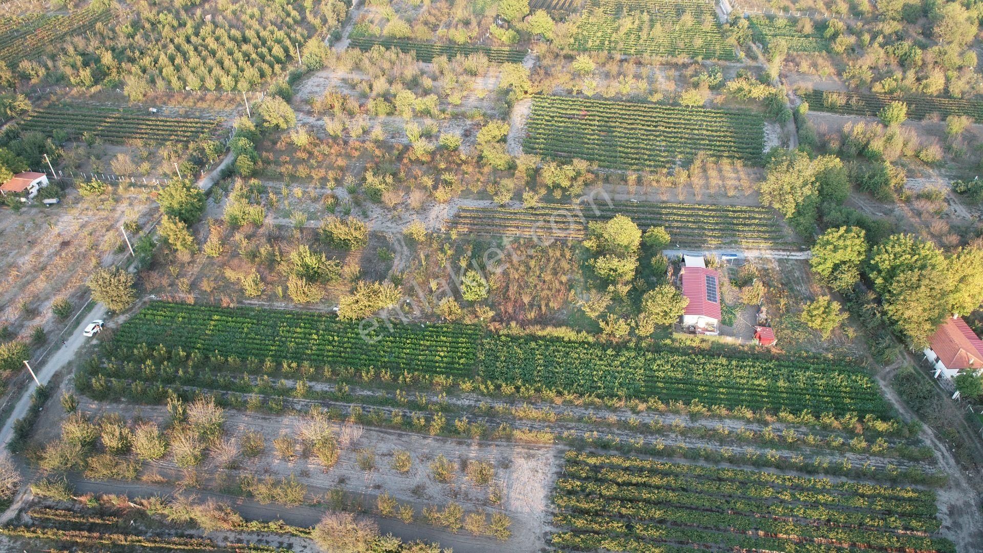 Satılık Tarla Kuşadası Kirazlı - Görsel 6