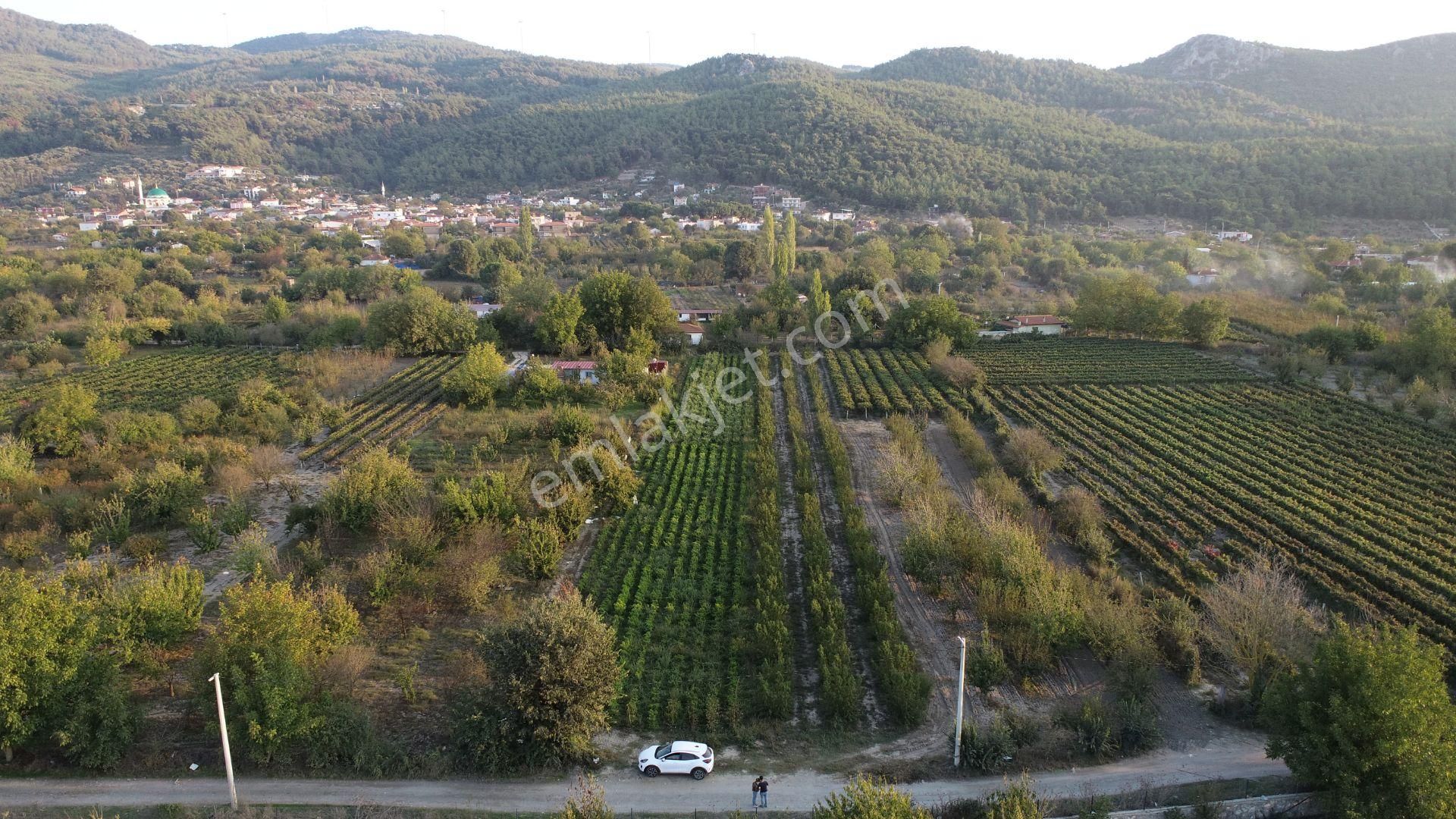 Satılık Tarla Kuşadası Kirazlı - Görsel 9