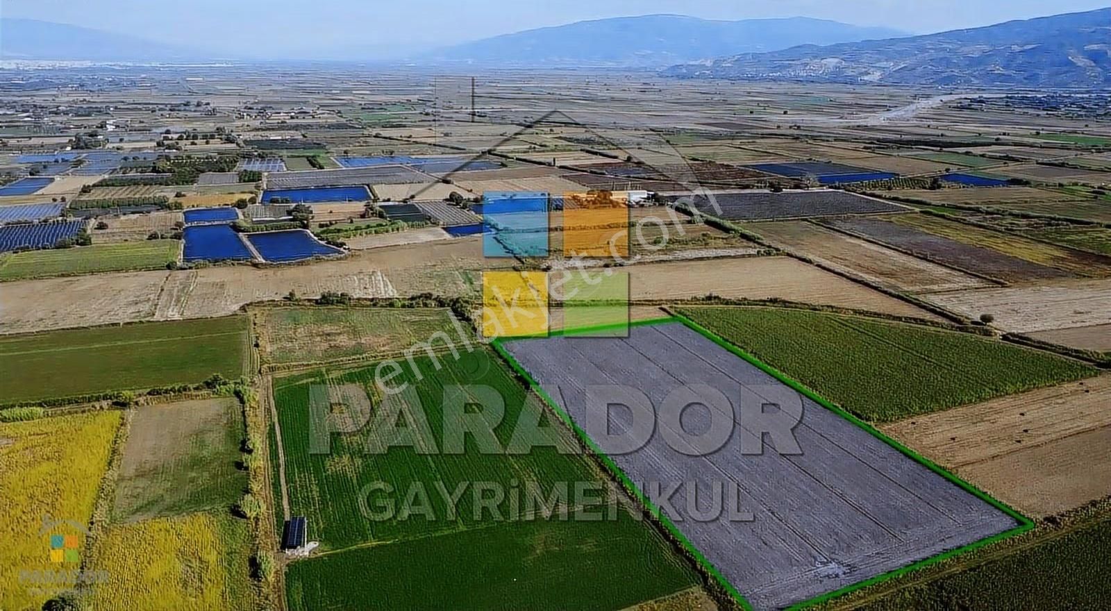 Aydın Sultanhisar Atça Mahallesinde Satılık 31114 M² Tarla - Görsel 4