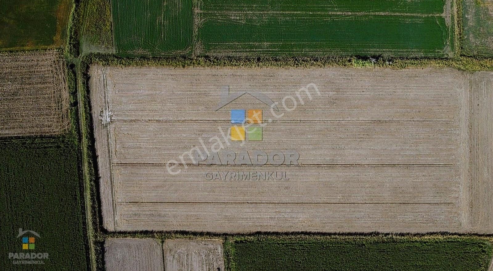 Aydın Sultanhisar Atça Mahallesinde Satılık 31114 M² Tarla - Görsel 3