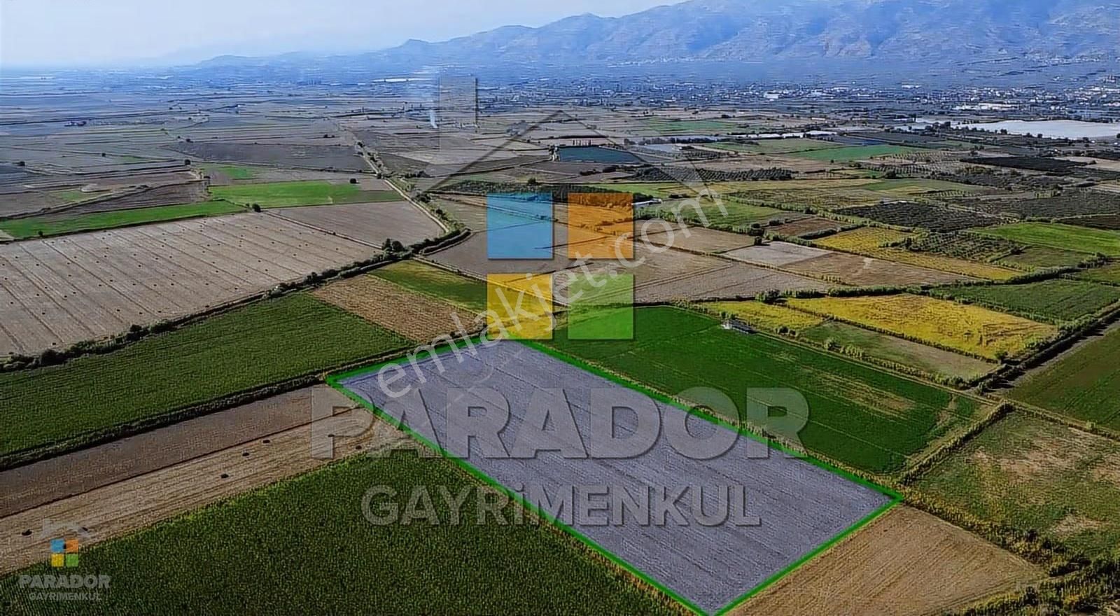 Aydın Sultanhisar Atça Mahallesinde Satılık 31114 M² Tarla - Görsel 5