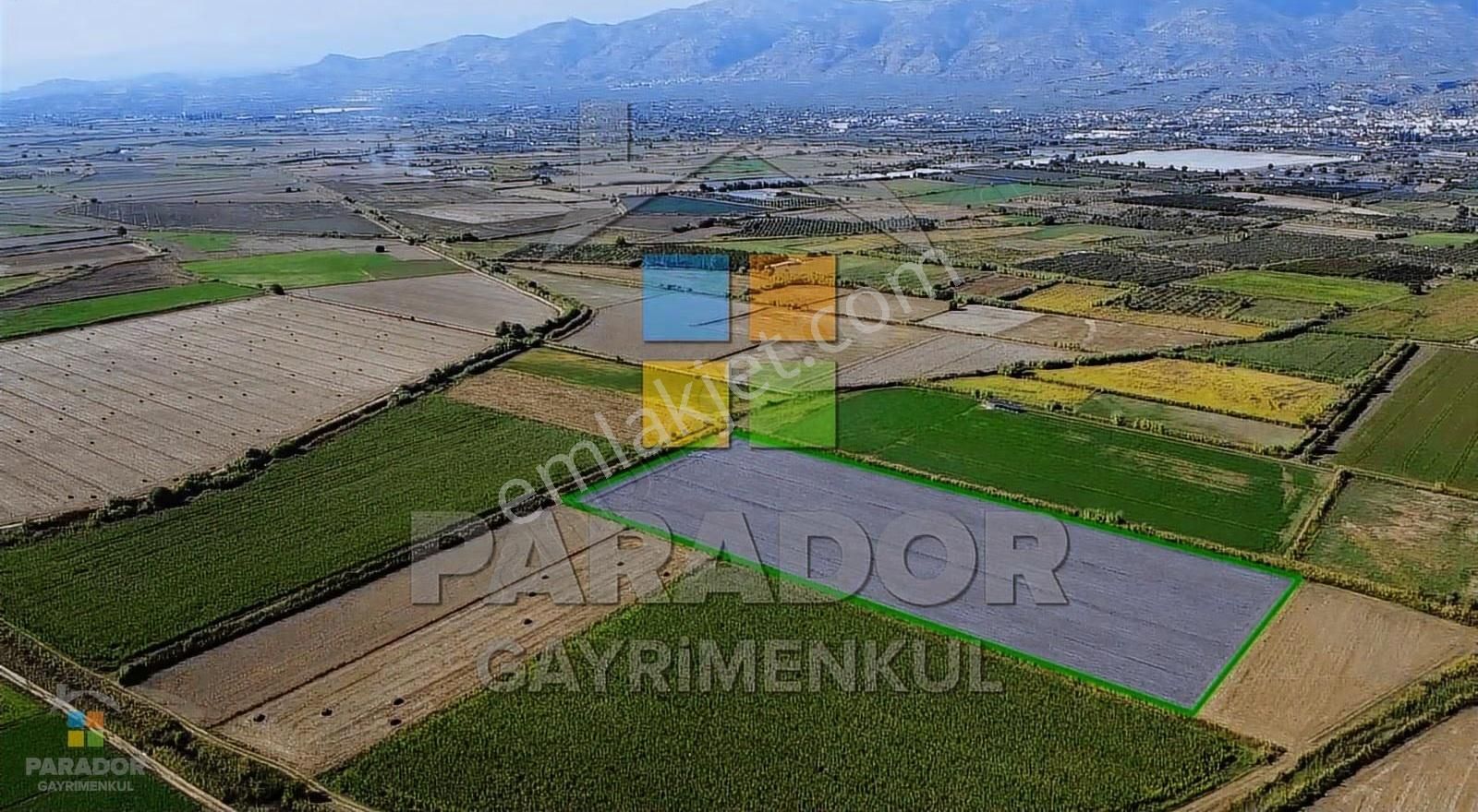 Aydın Sultanhisar Atça Mahallesinde Satılık 31114 M² Tarla - Görsel 11