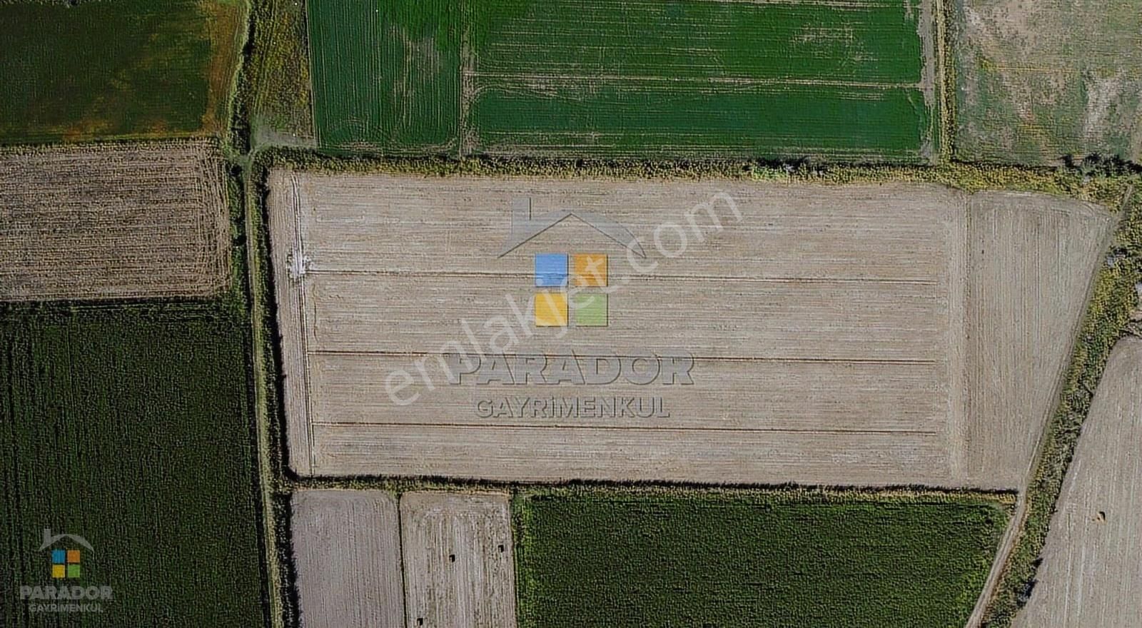 Aydın Sultanhisar Atça Mahallesinde Satılık 31114 M² Tarla - Görsel 7