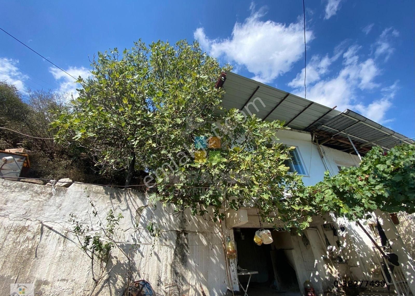 Sultanhisar Kılavuzlar Mahallesinde Satılık 1292 M² Arsa Ve Müstakil Ev - Görsel 4