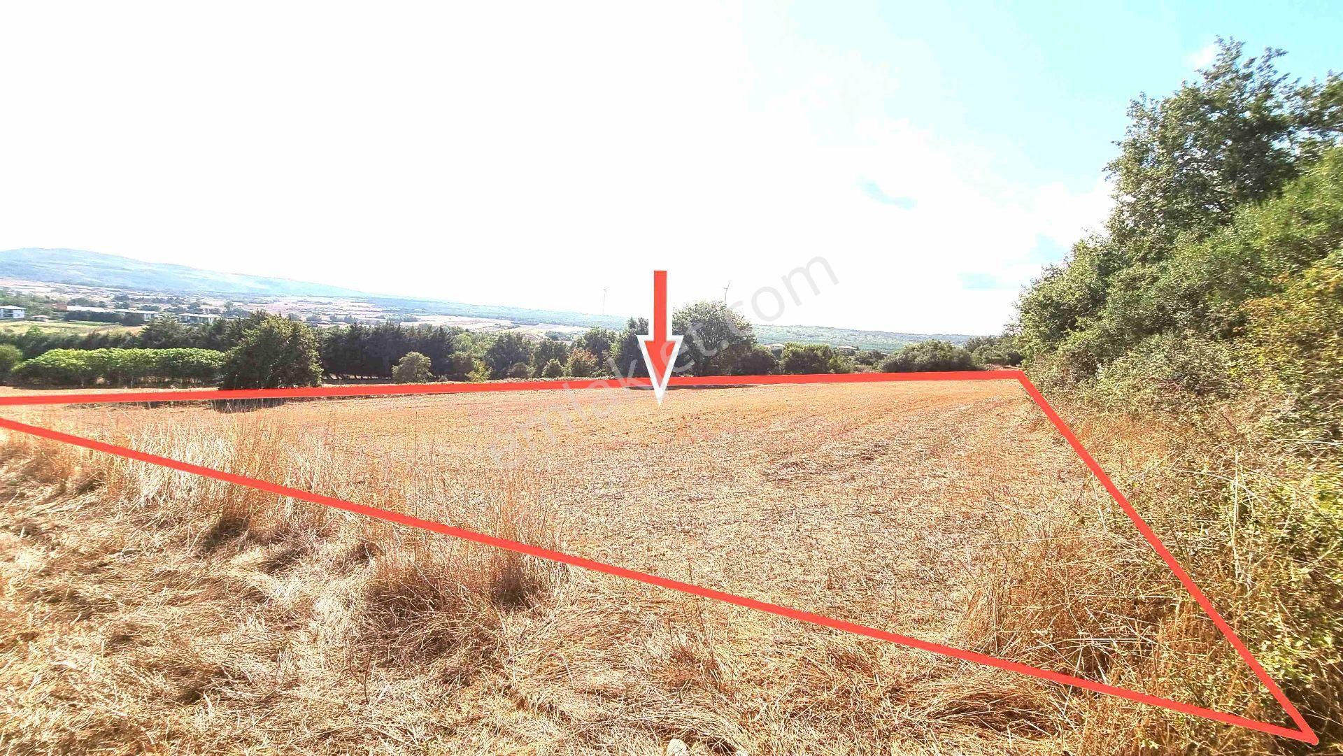 Ahmet Sezerden Çatalca Gökçealide Mükemmel Konumda Satılık Tarla - Görsel 15