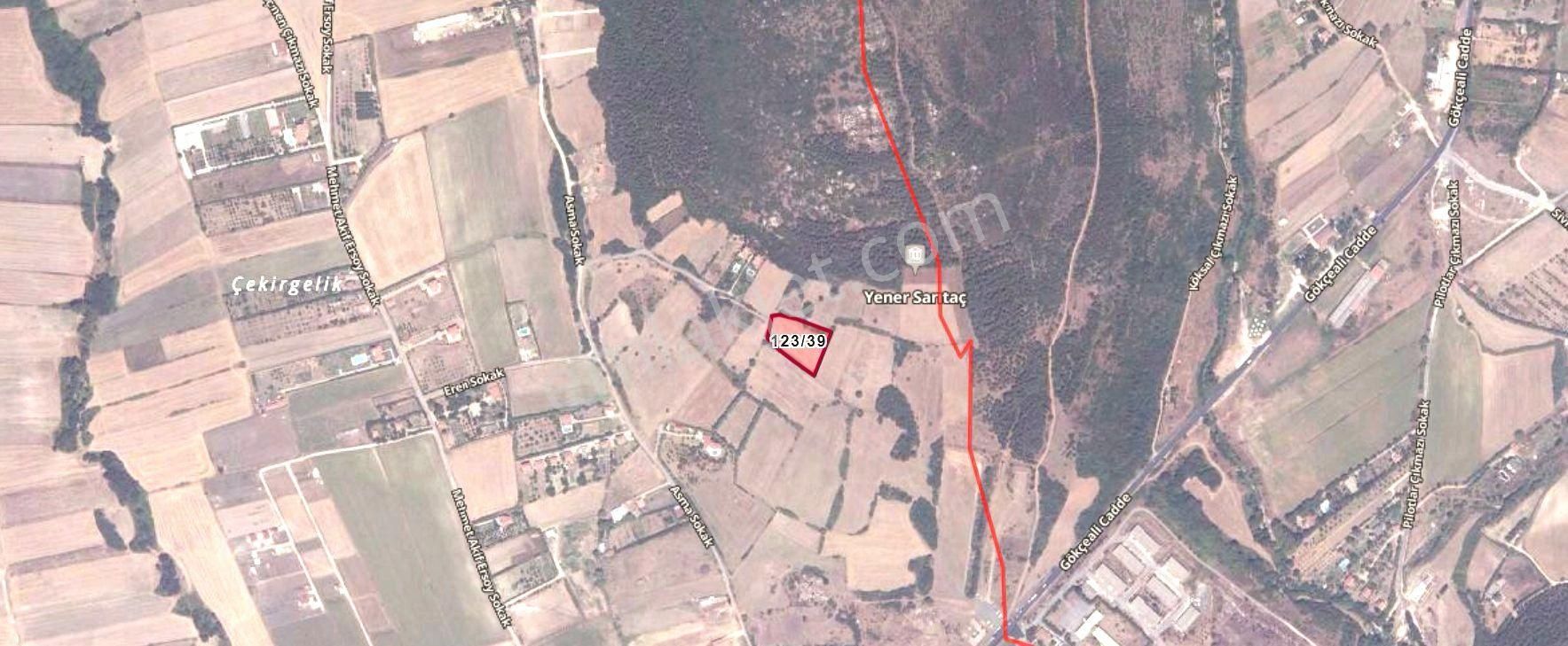 Ahmet Sezerden Çatalca Gökçealide Mükemmel Konumda Satılık Tarla - Görsel 9