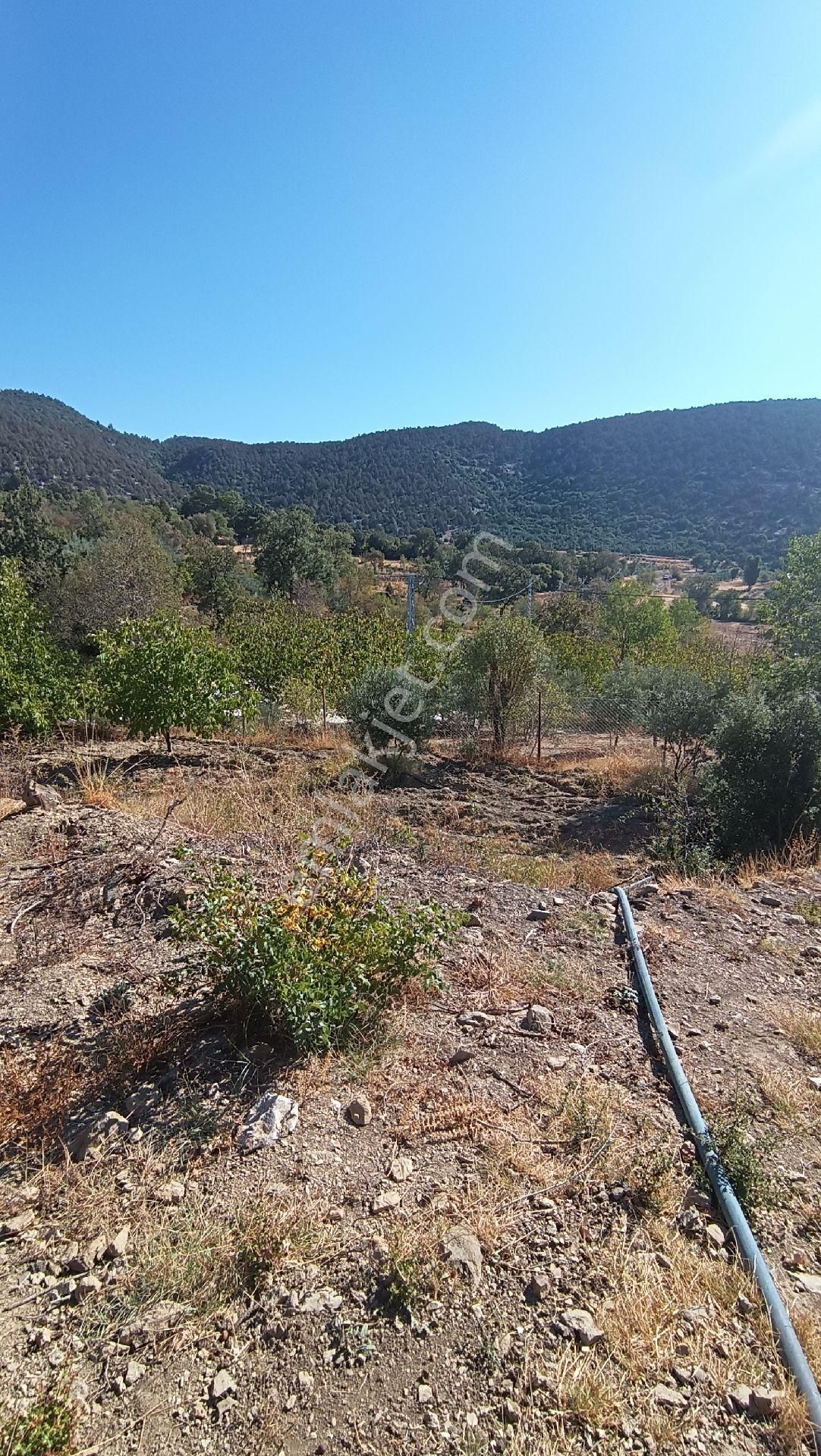 Güvenli Köyünde Satılık 3.000 M² Arsa