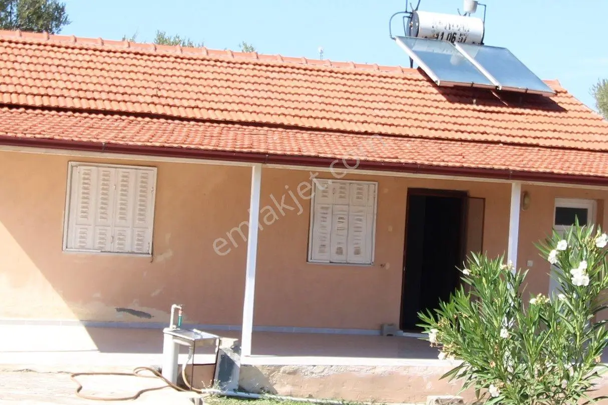 Muğla Milas Pınarcık Mahallesinde 2.551 M2 İçinde 1+1 Müstakil Ev Var Her Şey Resmi