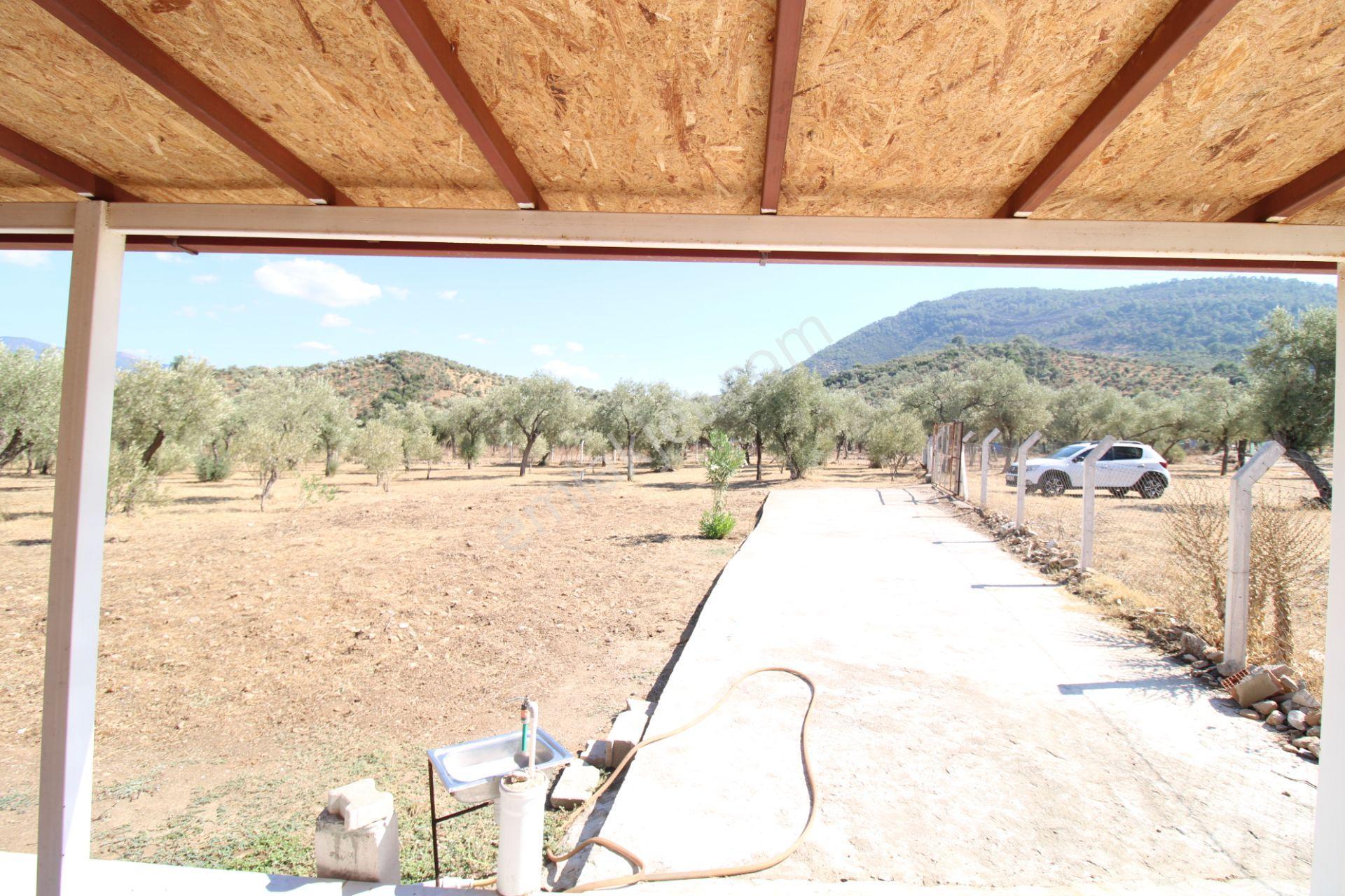 Muğla Milas Pınarcık Mahallesinde 2.551 M2 İçinde 1+1 Müstakil Ev Var Her Şey Resmi - Görsel 10