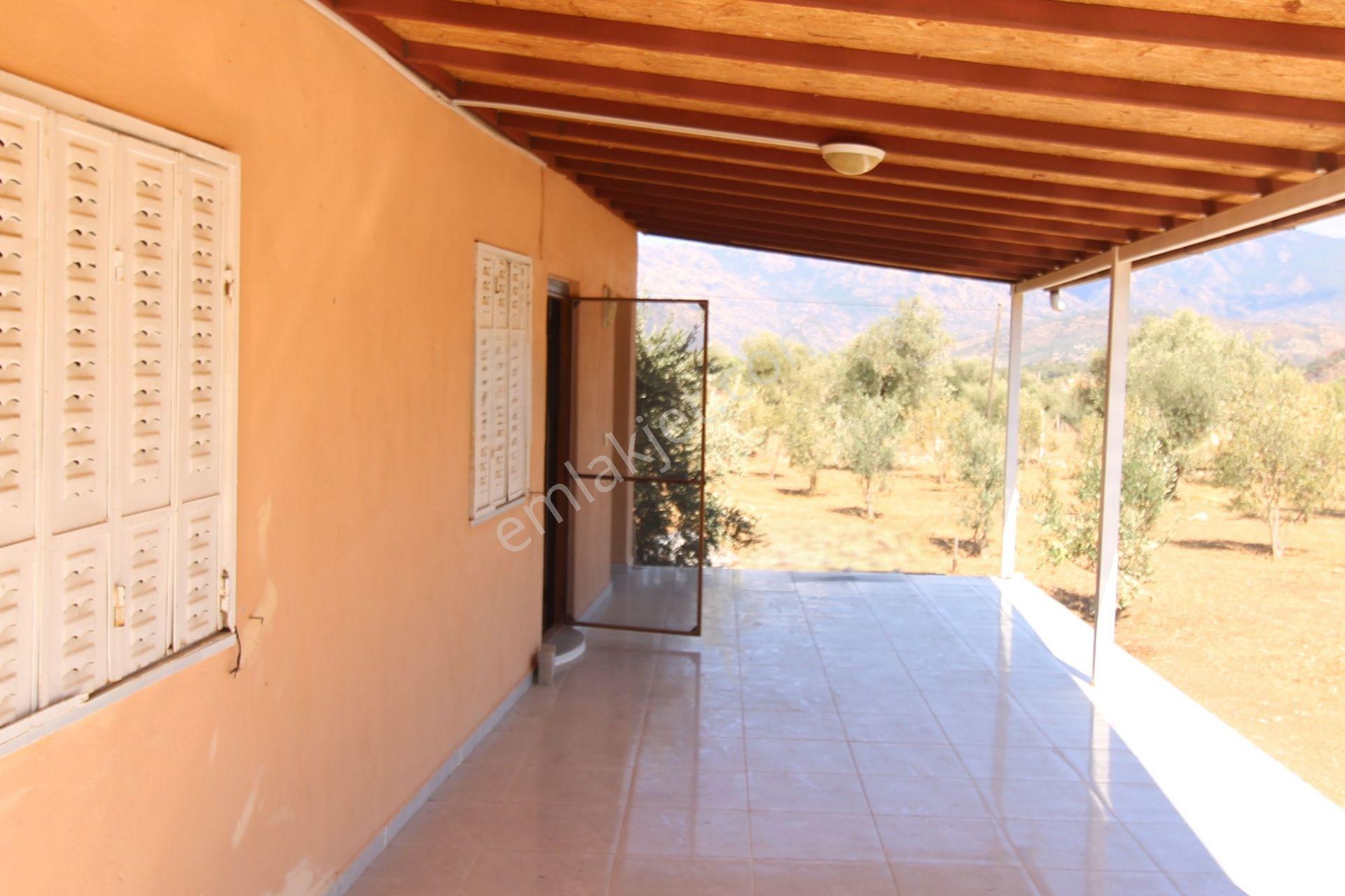 Muğla Milas Pınarcık Mahallesinde 2.551 M2 İçinde 1+1 Müstakil Ev Var Her Şey Resmi - Görsel 9