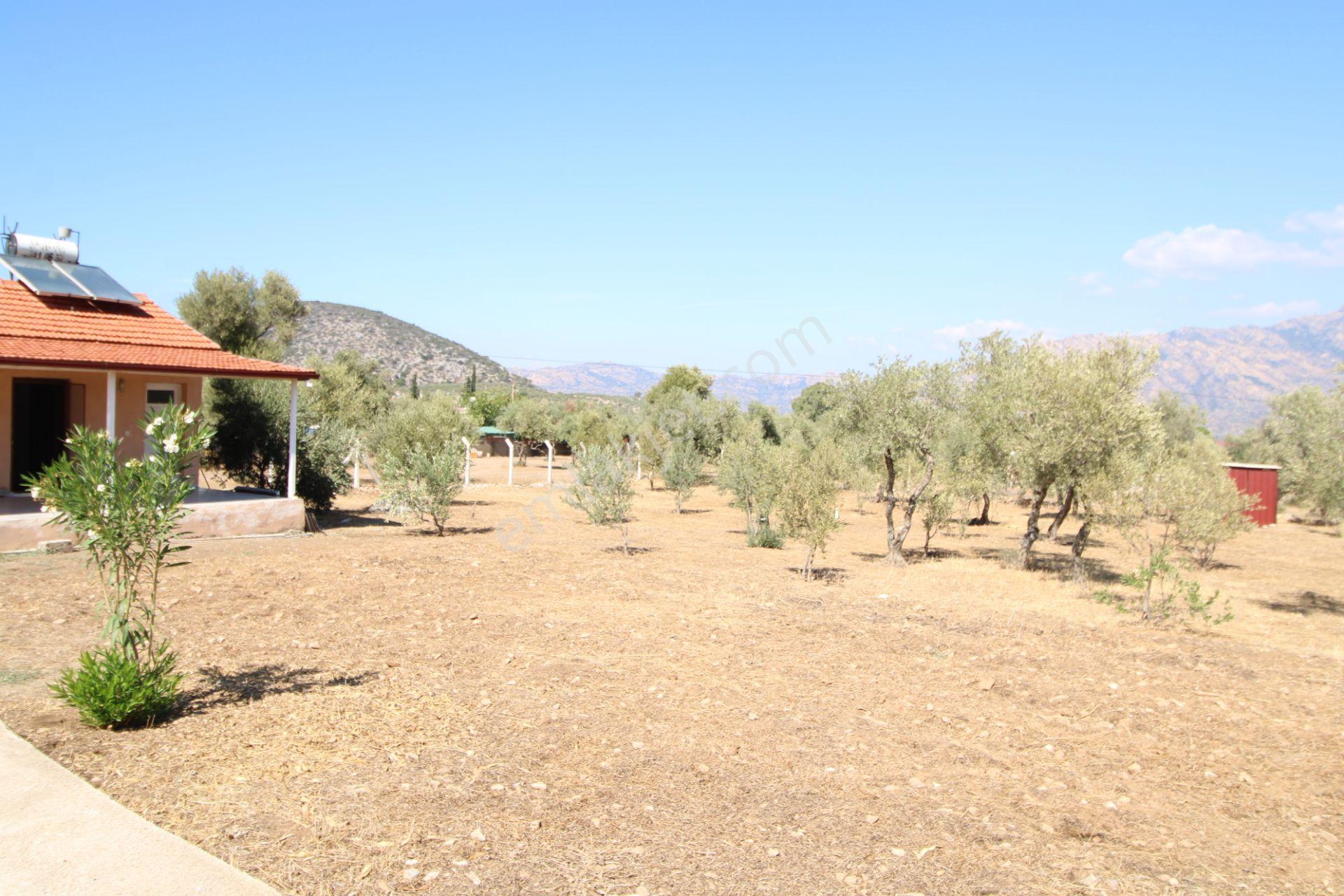 Muğla Milas Pınarcık Mahallesinde 2.551 M2 İçinde 1+1 Müstakil Ev Var Her Şey Resmi - Görsel 15