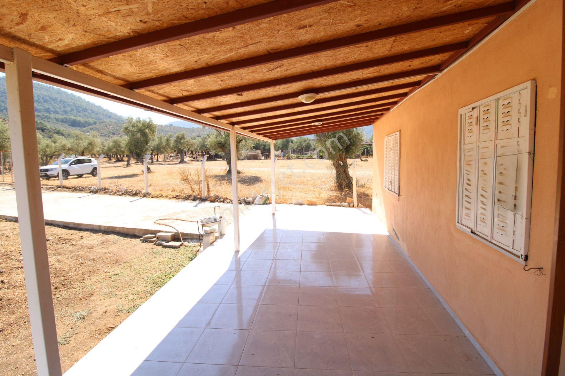 Muğla Milas Pınarcık Mahallesinde 2.551 M2 İçinde 1+1 Müstakil Ev Var Her Şey Resmi - Görsel 8