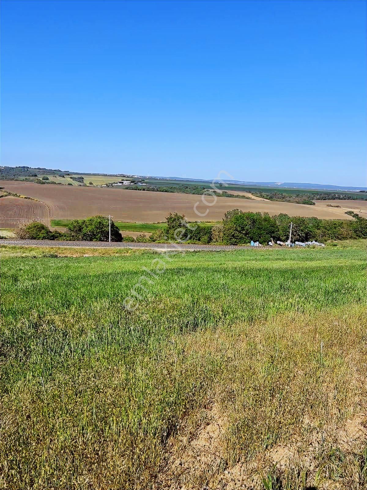 Silivri Kurfallıda 7.970m2 Tek Tapu Satılık Tarla - Görsel 2