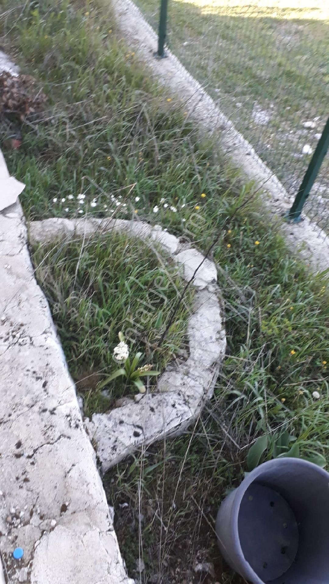 Burdur Bucak Karaseki Köyü'nde 15.981m2 Arazi İçinde 200m2 Müstakil Konut Satılık Yatırımlık - Görsel 32