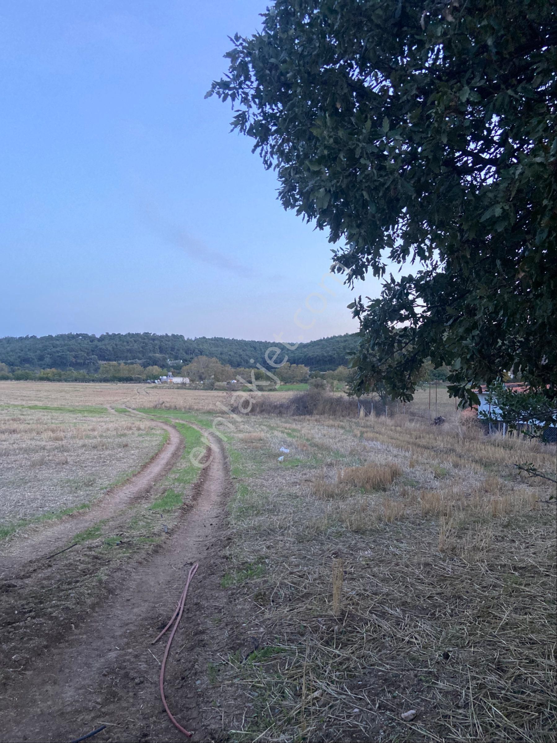 ❎❎çanakkale Merkez Dümrek Köyünde Satılık Tarla ❎❎