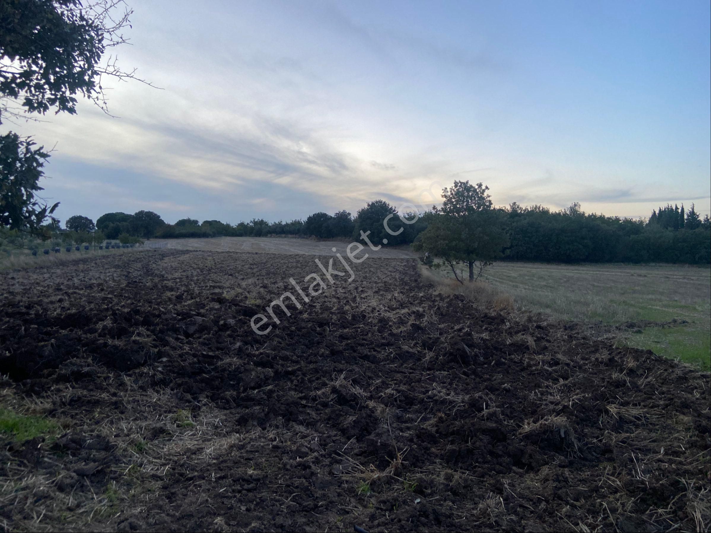 ❎❎çanakkale Merkez Dümrek Köyünde Satılık Tarla ❎❎ - Görsel 2