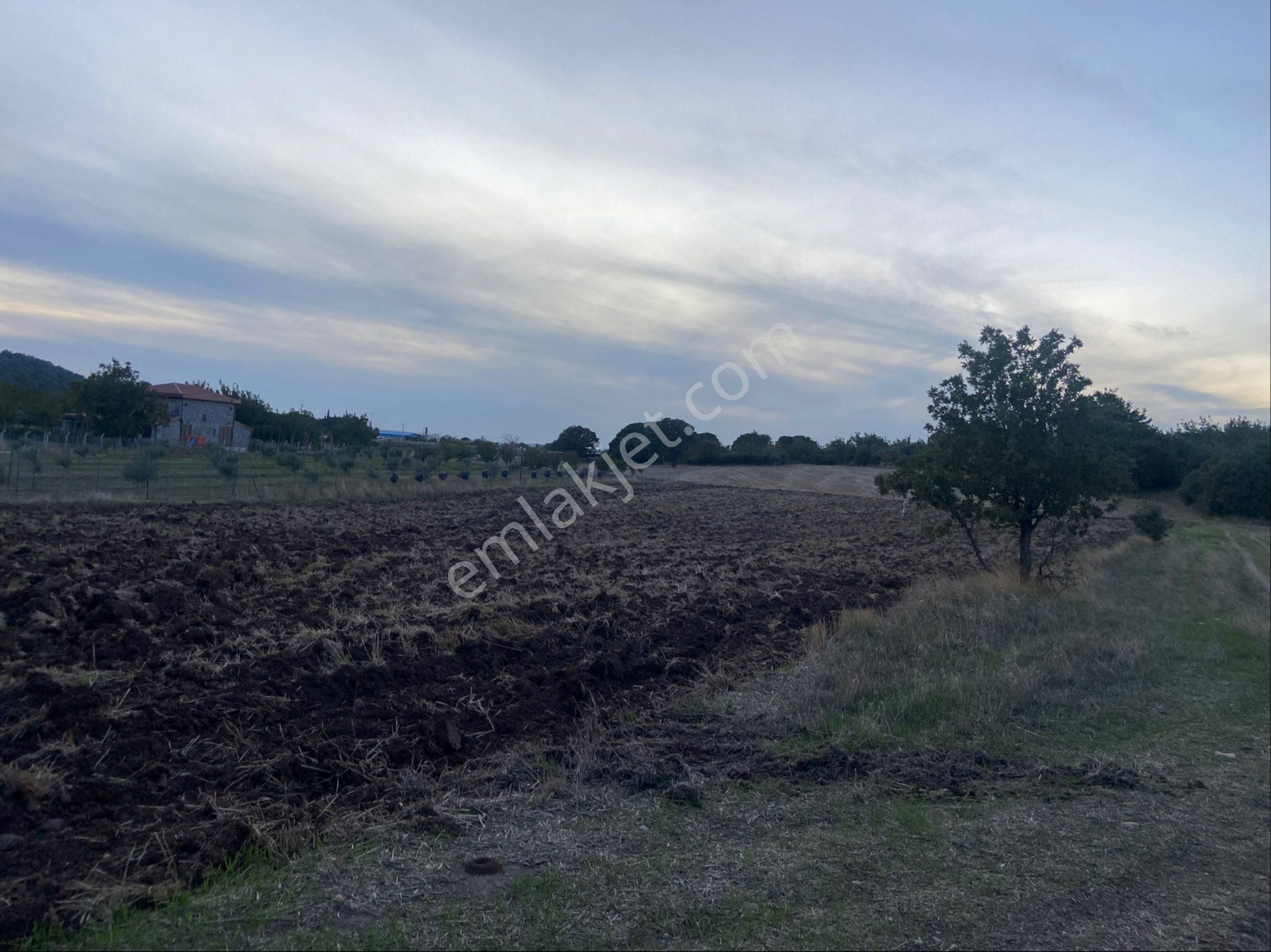 ❎❎çanakkale Merkez Dümrek Köyünde Satılık Tarla ❎❎ - Görsel 8