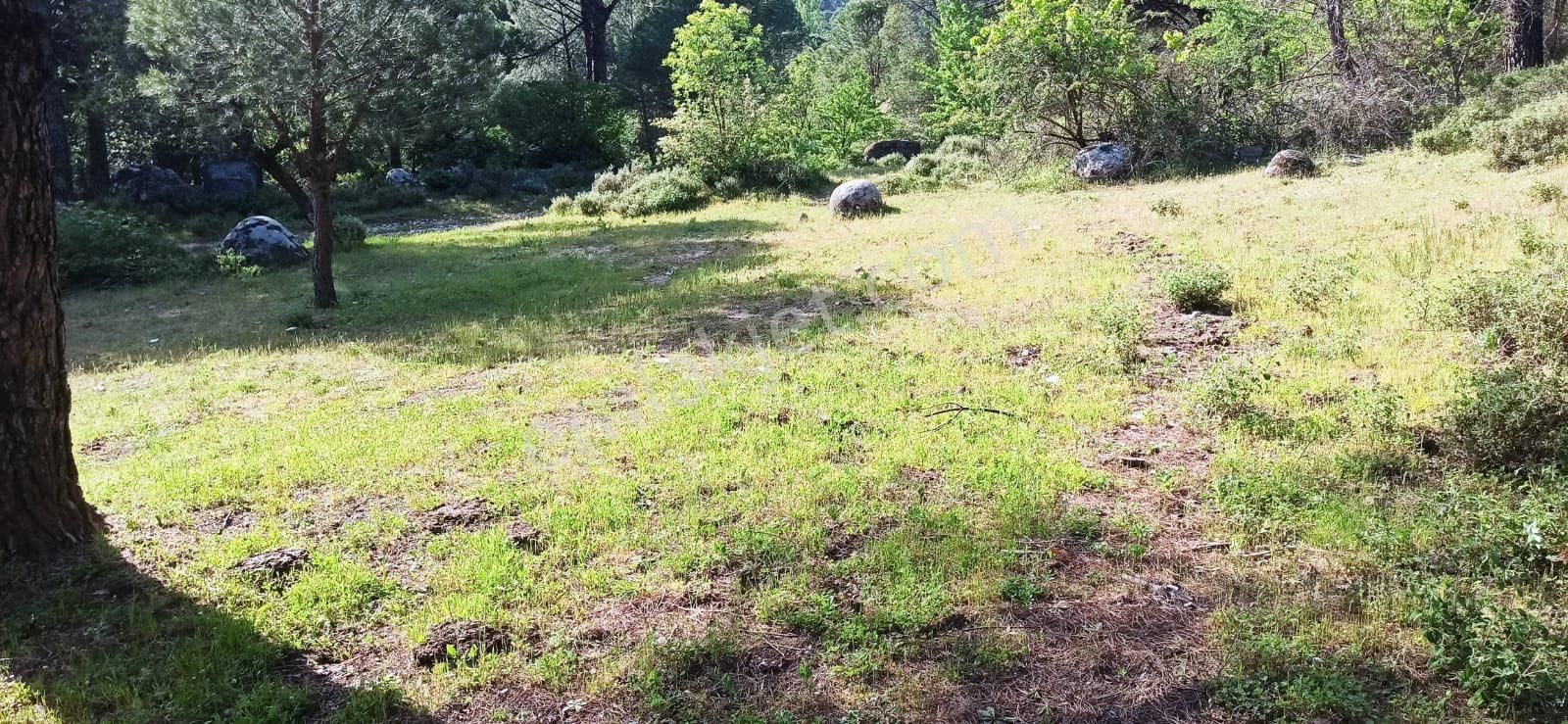 Kozak Çelebi Emlak’tan Yatırımlık Acil Satılık Müstakil Tapu 888 M2 - Görsel 18