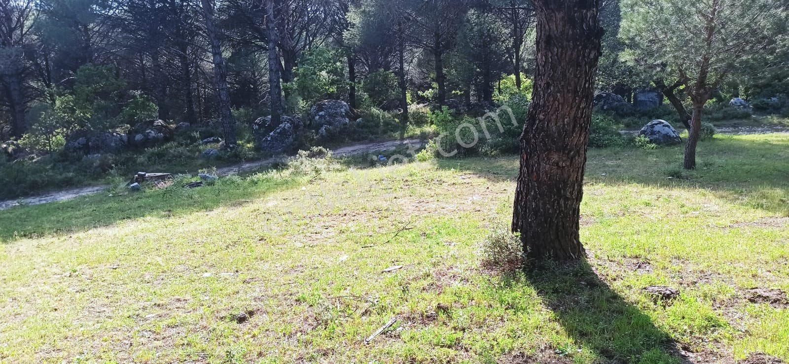 Kozak Çelebi Emlak’tan Yatırımlık Acil Satılık Müstakil Tapu 888 M2 - Görsel 13