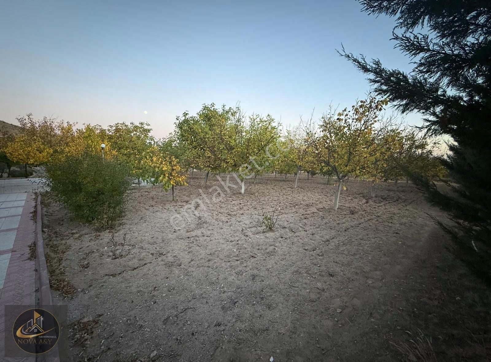 Nova A&y'den Sulutas Mah. 13.000m2 Satılık Bahçe - Görsel 6