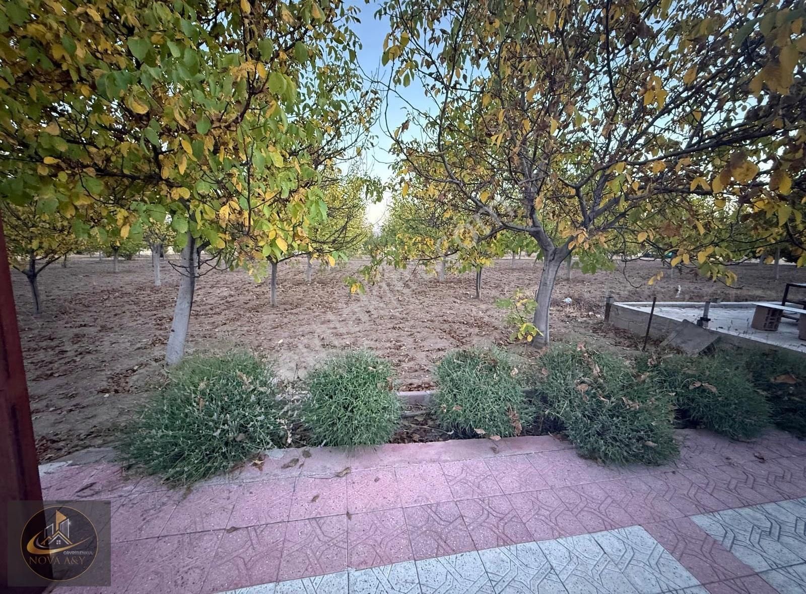 Nova A&y'den Sulutas Mah. 13.000m2 Satılık Bahçe - Görsel 4