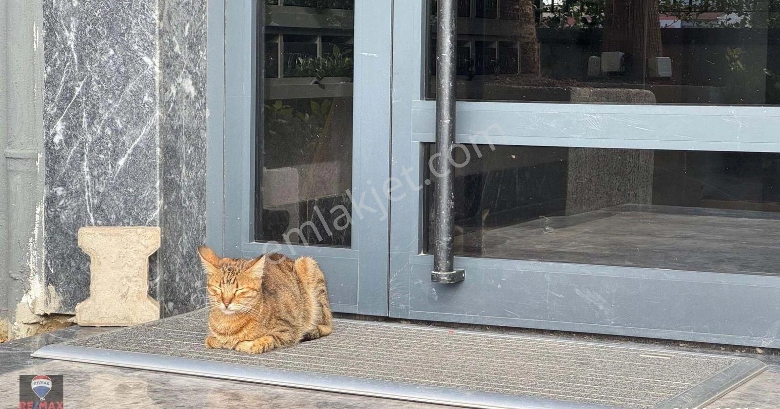 Bornova Passa Nova Resıdence Da Sıfır Modern 1+1 Satılık Daıre - Görsel 30