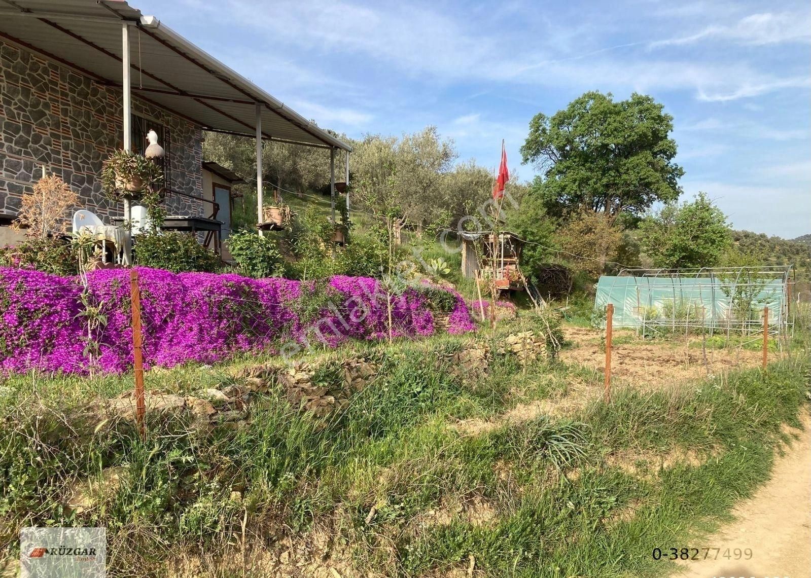 Burhaniye Hisarköyde 945 M2 Arazi İçinde Elk. Su Olan Harika Ev - Görsel 6