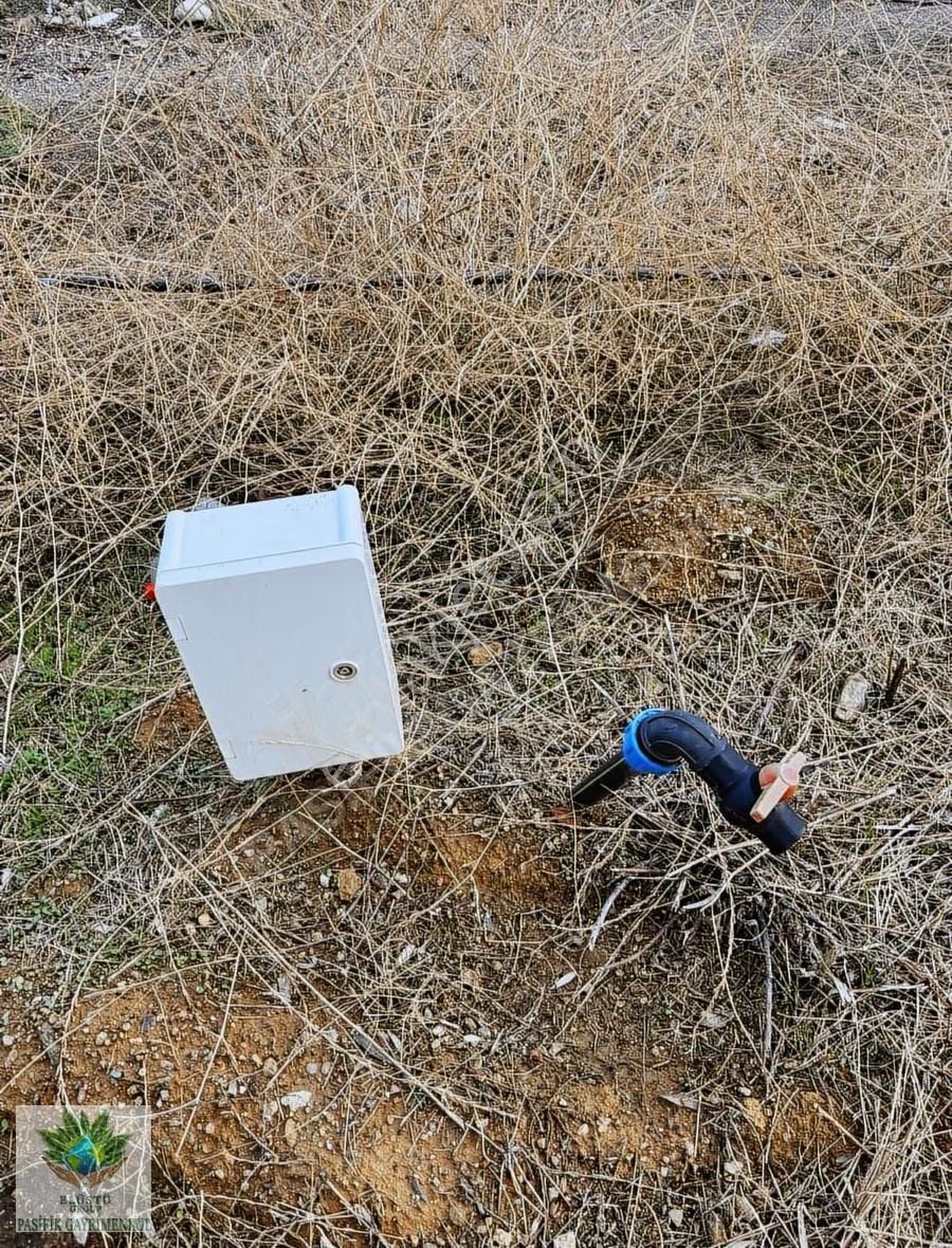 Pasifikten Menderes Çatalcada 3.053 M² Kök Tapu Tarla - Görsel 9