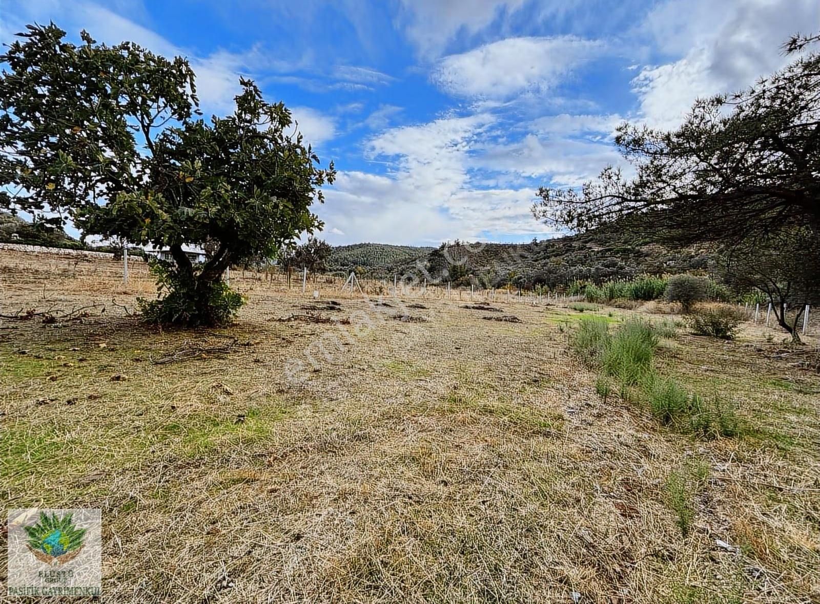 Pasifikten Menderes Çatalcada 3.053 M² Kök Tapu Tarla - Görsel 2