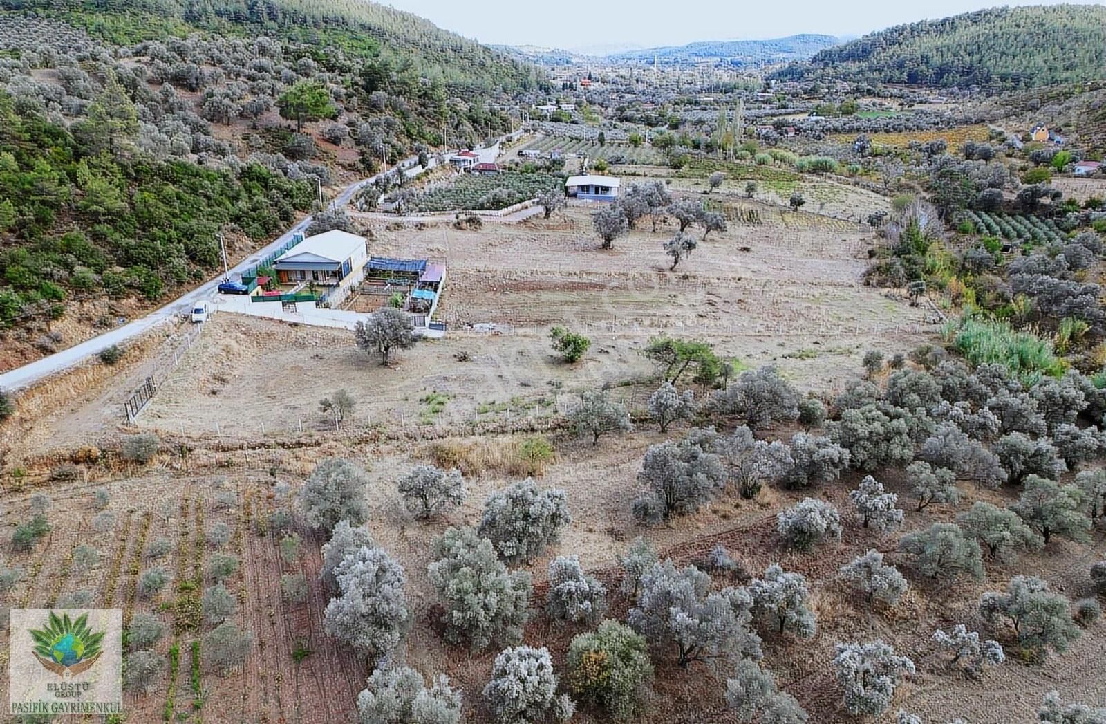 Pasifikten Menderes Çatalcada 3.053 M² Kök Tapu Tarla - Görsel 5