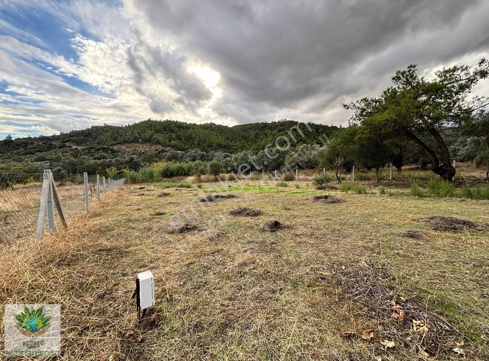 Pasifikten Menderes Çatalcada 3.053 M² Kök Tapu Tarla - Görsel 7