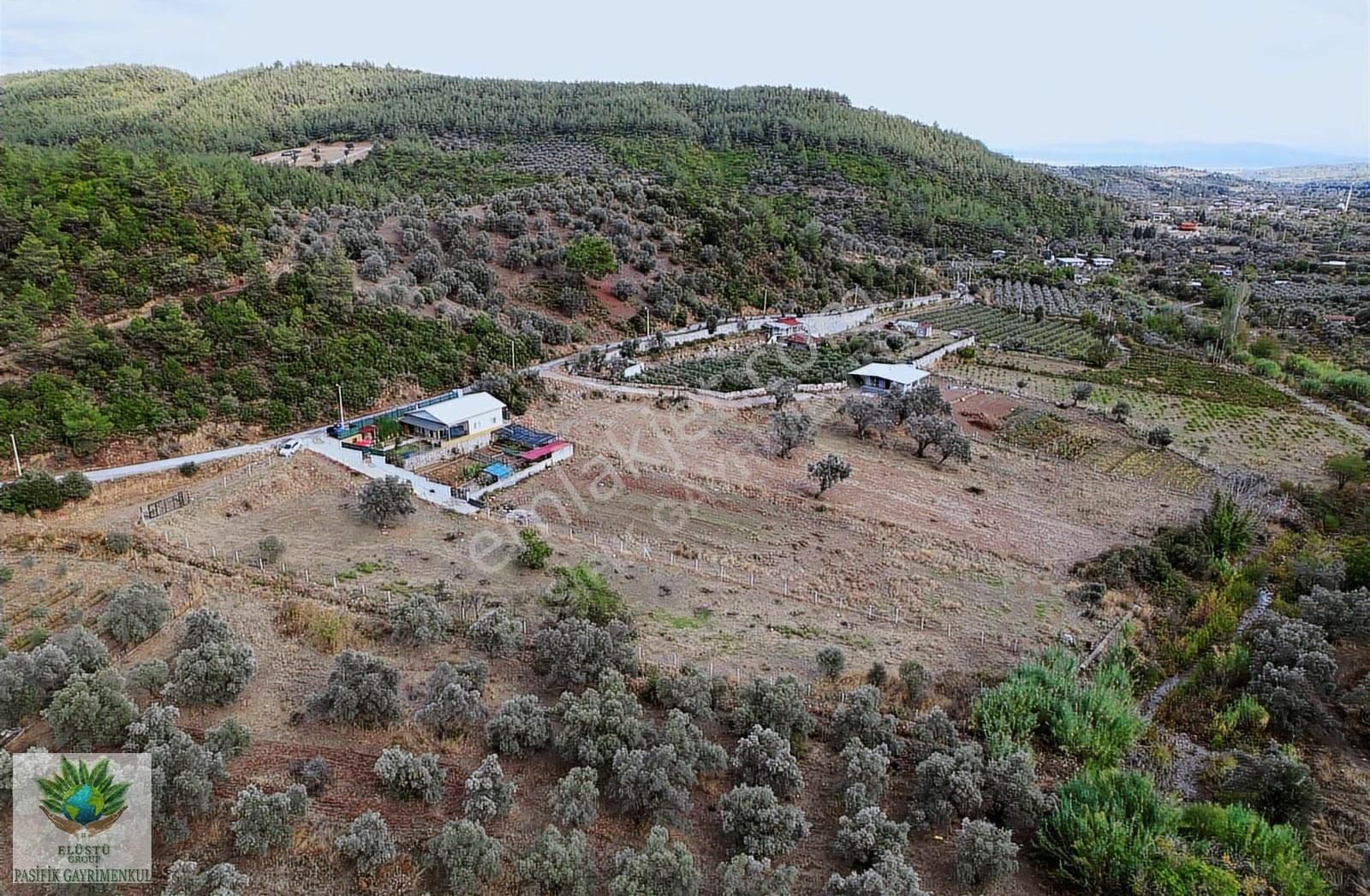 Pasifikten Menderes Çatalcada 3.053 M² Kök Tapu Tarla - Görsel 4