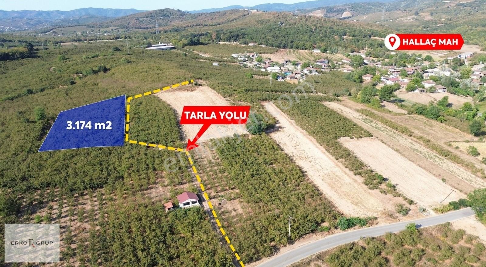 Erko Grup Gayrimenkul'den Hendek Hallaç Mah. Satılık Fındıklık - Görsel 21