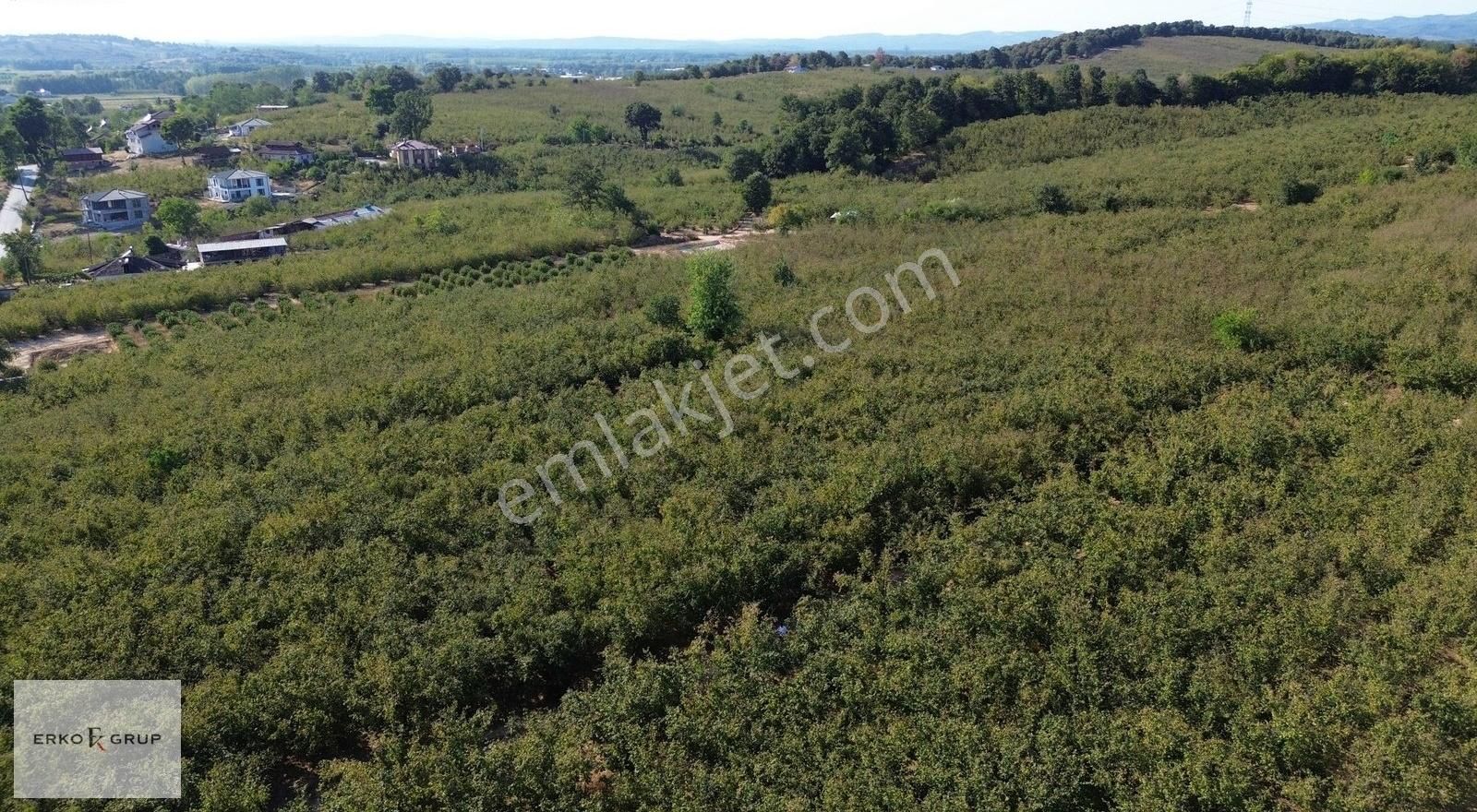 Erko Grup Gayrimenkul'den Hendek Hallaç Mah. Satılık Fındıklık - Görsel 8