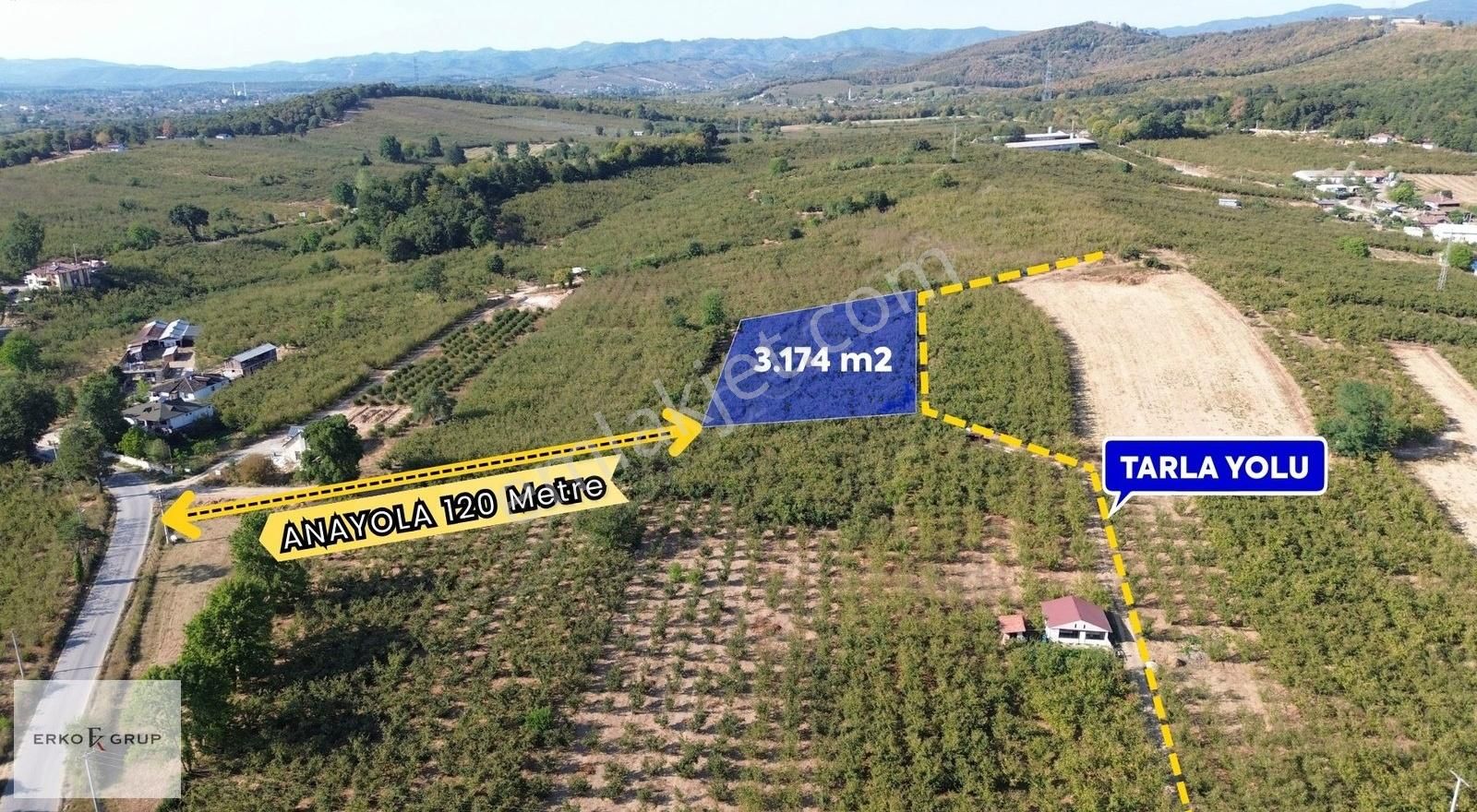 Erko Grup Gayrimenkul'den Hendek Hallaç Mah. Satılık Fındıklık - Görsel 3