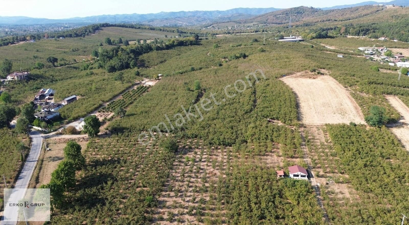 Erko Grup Gayrimenkul'den Hendek Hallaç Mah. Satılık Fındıklık - Görsel 6