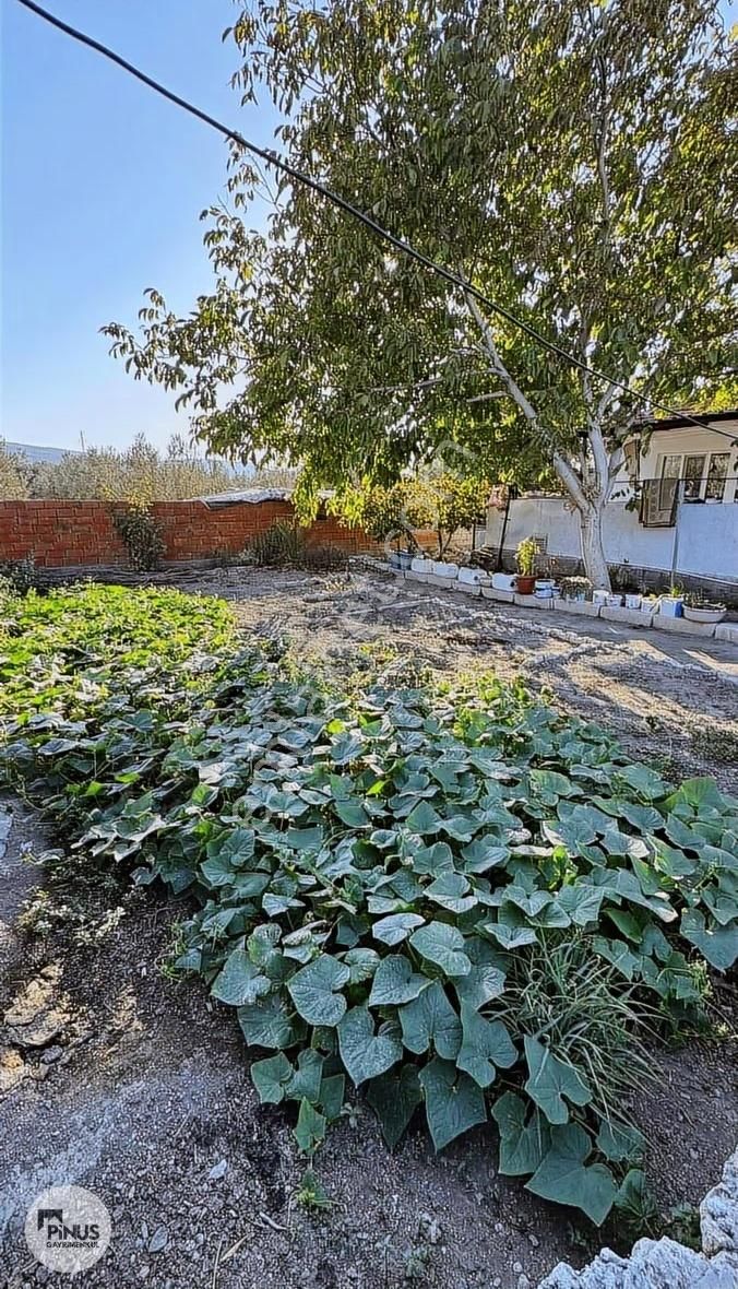 Pinus Gayrimenkulden Satılık İmarlı Arsa - Görsel 13