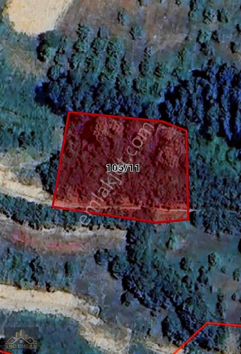 Bursa İnegöl Gündüzlü Mah. Yolu Olan Fırsat Tarla