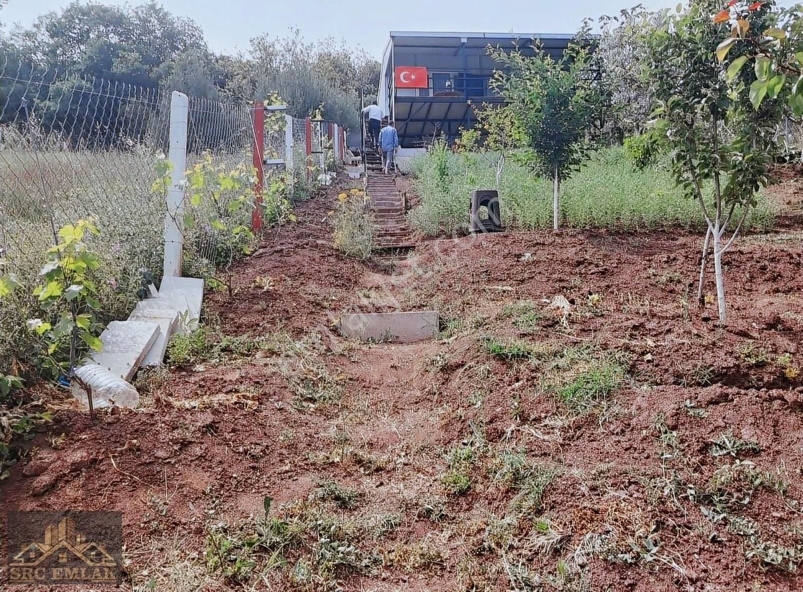 Bursa Gemlik Kurtulda Hobi Bahçesi Elektrik Var Kurulu Duzenli - Görsel 7