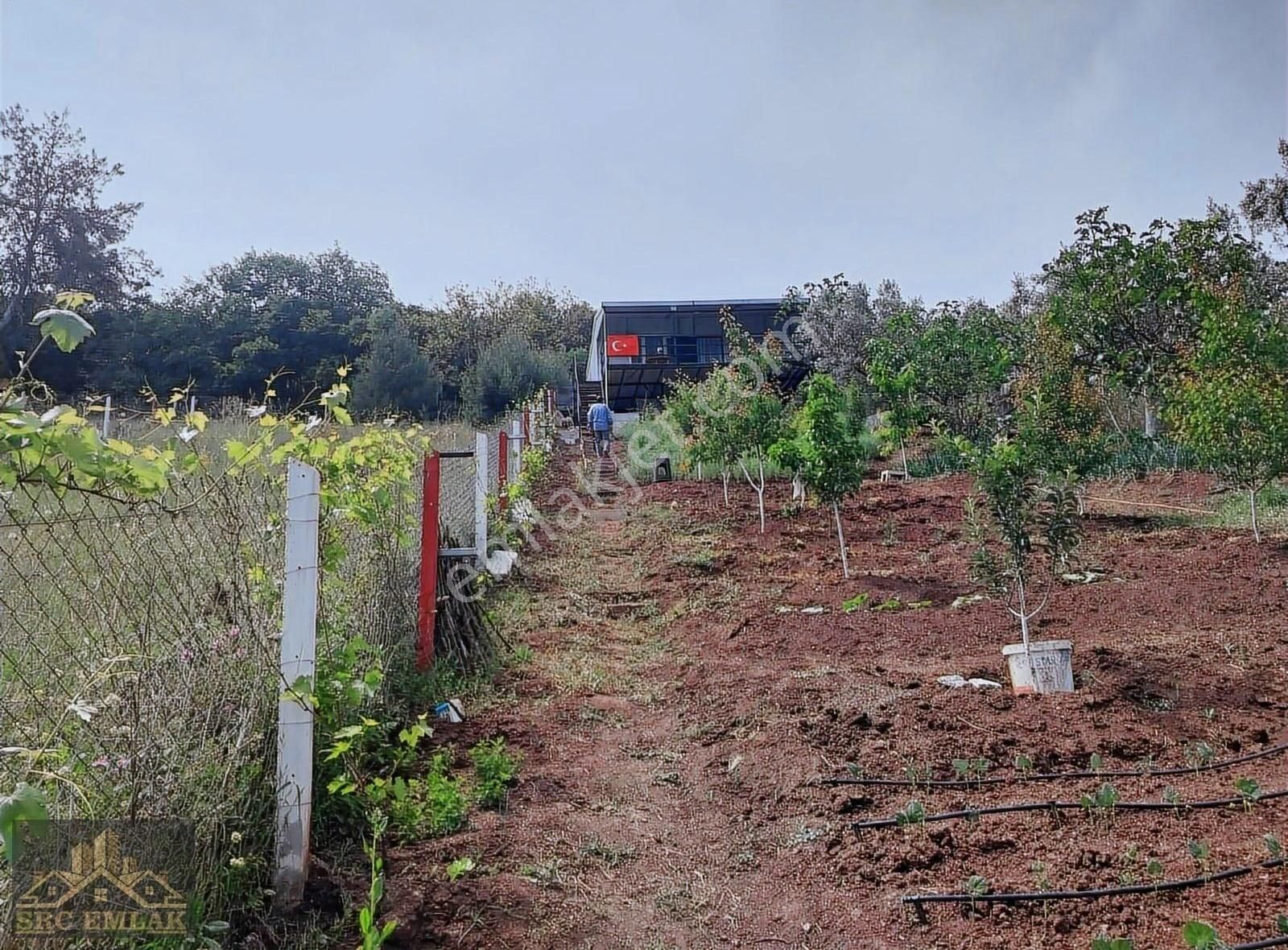 Bursa Gemlik Kurtulda Hobi Bahçesi Elektrik Var Kurulu Duzenli - Görsel 28