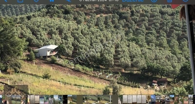 Bursa Gemlik Kurtulda Hobi Bahçesi Elektrik Var Kurulu Duzenli - Görsel 4