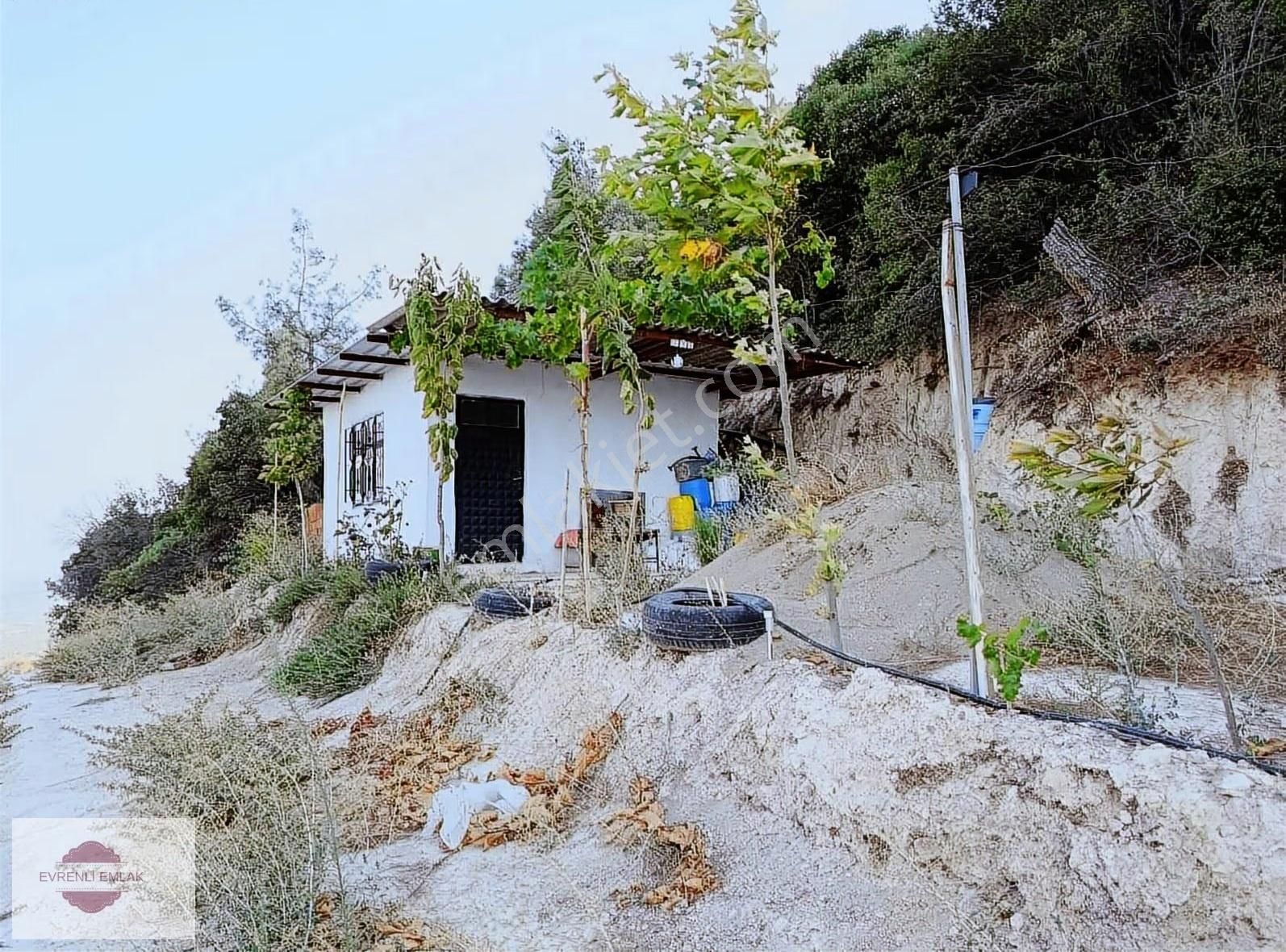 Evrenli Emlak'dan Satılık Zeytinlik - Görsel 11