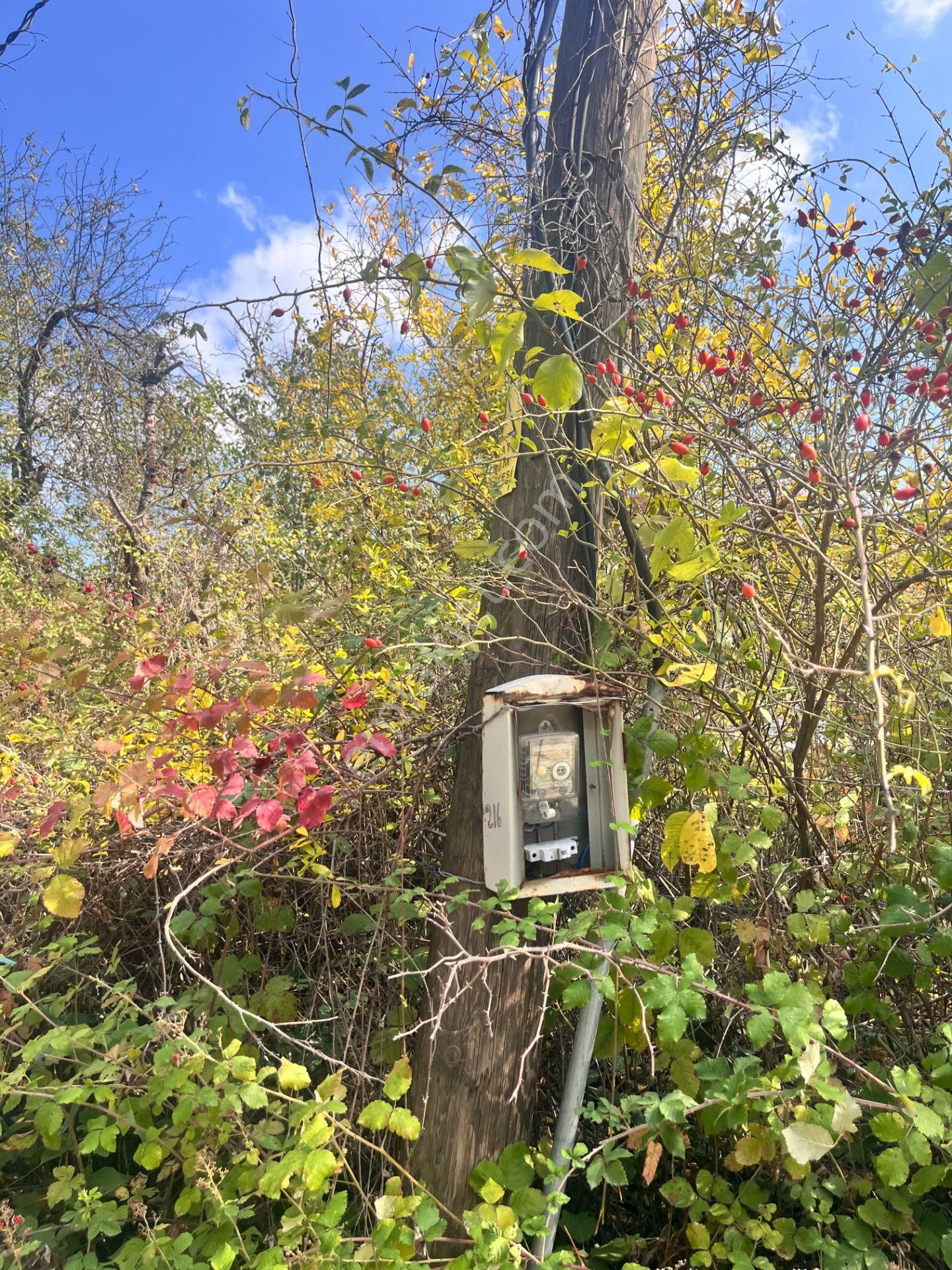 Gemlik Haydariye'de İmarlı 3 Villa Yapımına Uygun Arsa - Görsel 18