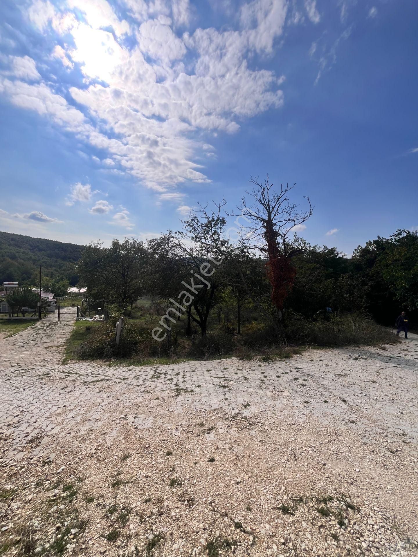Gemlik Haydariye'de İmarlı 3 Villa Yapımına Uygun Arsa - Görsel 16
