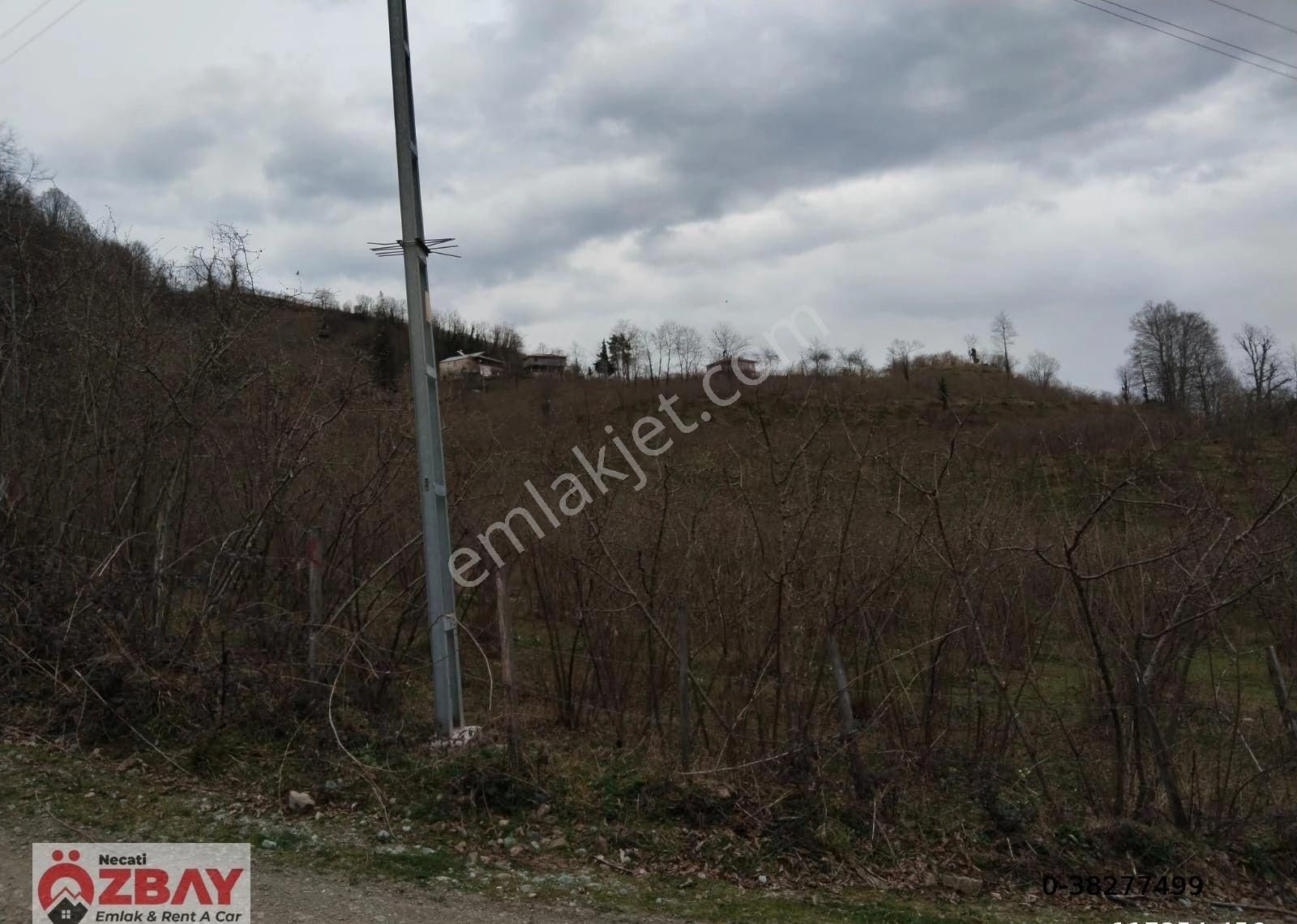 Kayadibi Mah.de Satılık 30 Dönüm 3 Parsel Fındık Bahçesi - Görsel 18