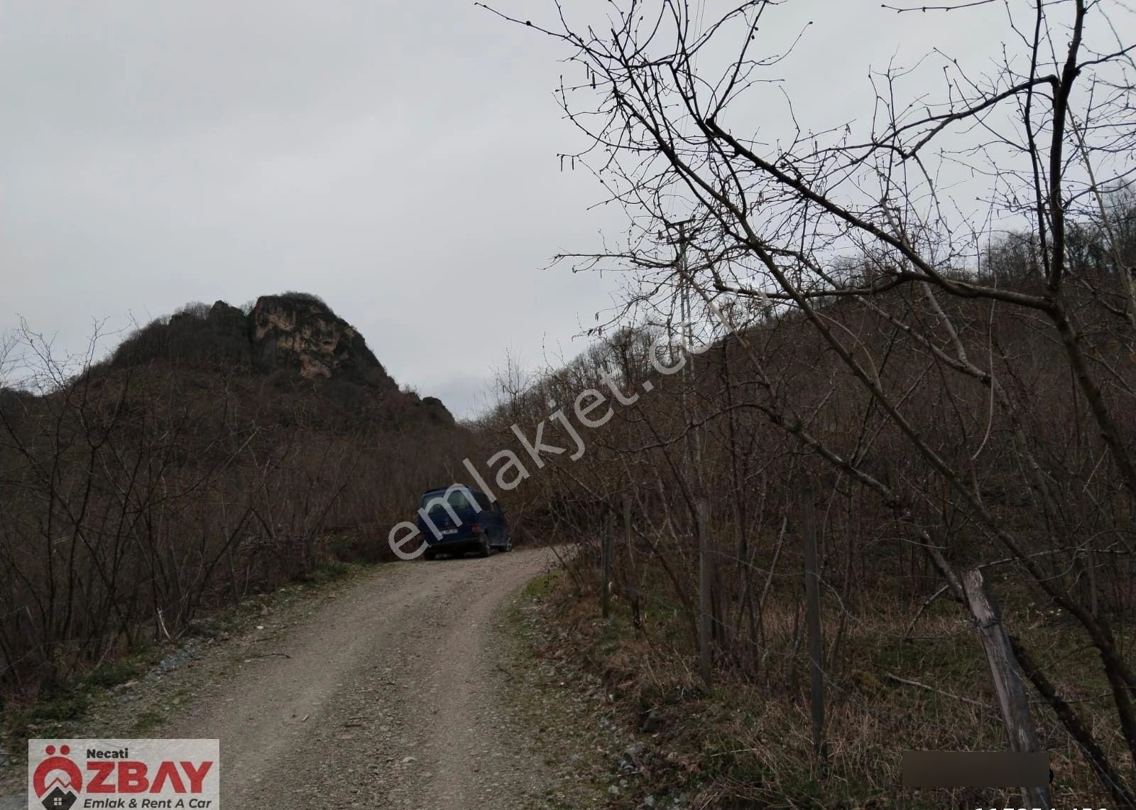 Kayadibi Mah.de Satılık 30 Dönüm 3 Parsel Fındık Bahçesi - Görsel 8